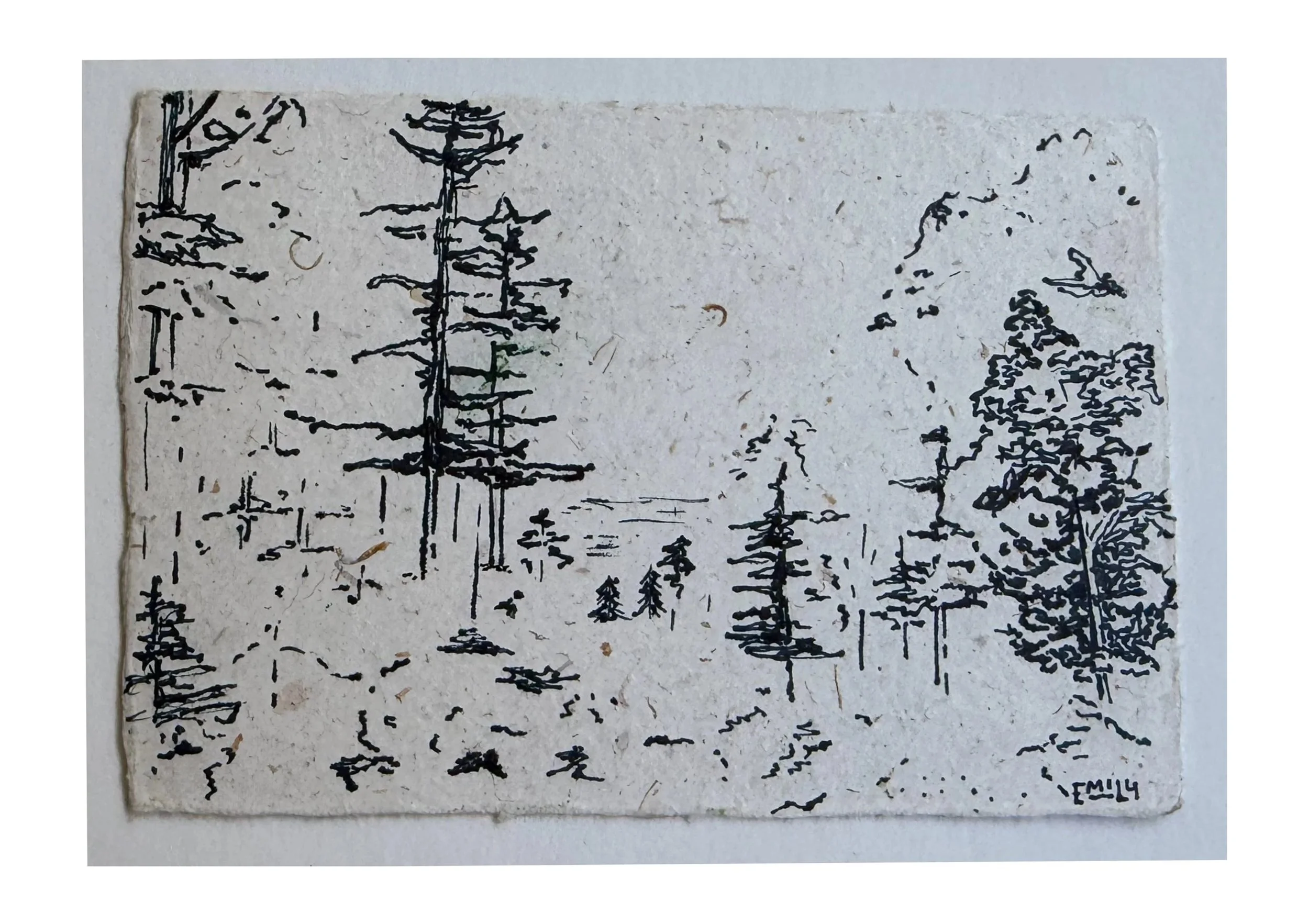 Acadia+Print.jpg