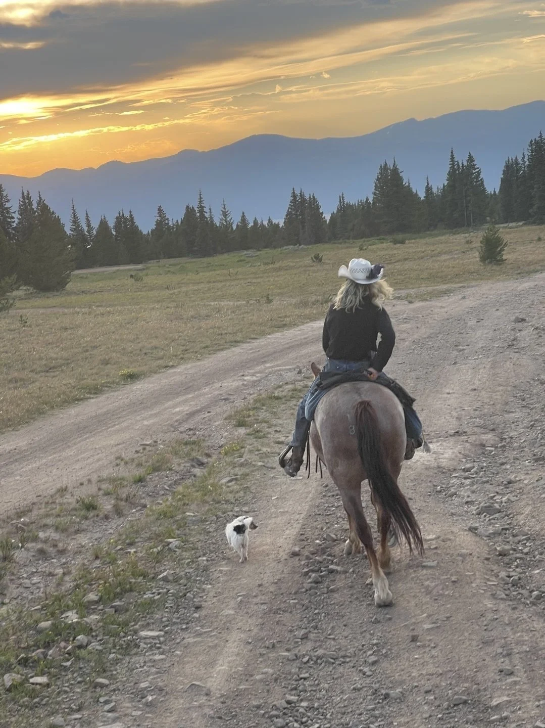 A person riding a horse on a dirt trail at sunset, with a small dog walking nearby, surrounded by mountains and trees.
