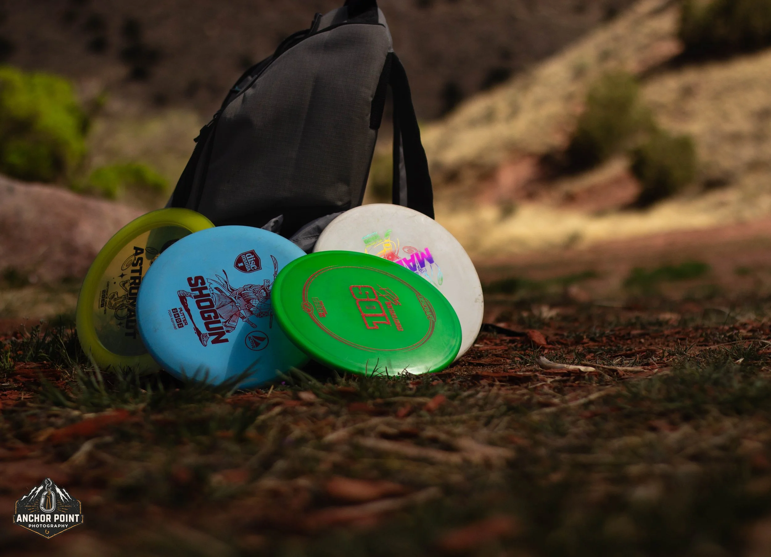 Disc Golf Logo (1 of 6).jpg