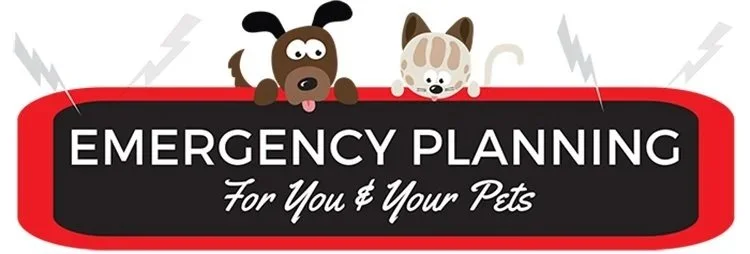 Pet Emergency Preparedness Plan — Hurricane & Disaster Readiness for Florida Pet Owners