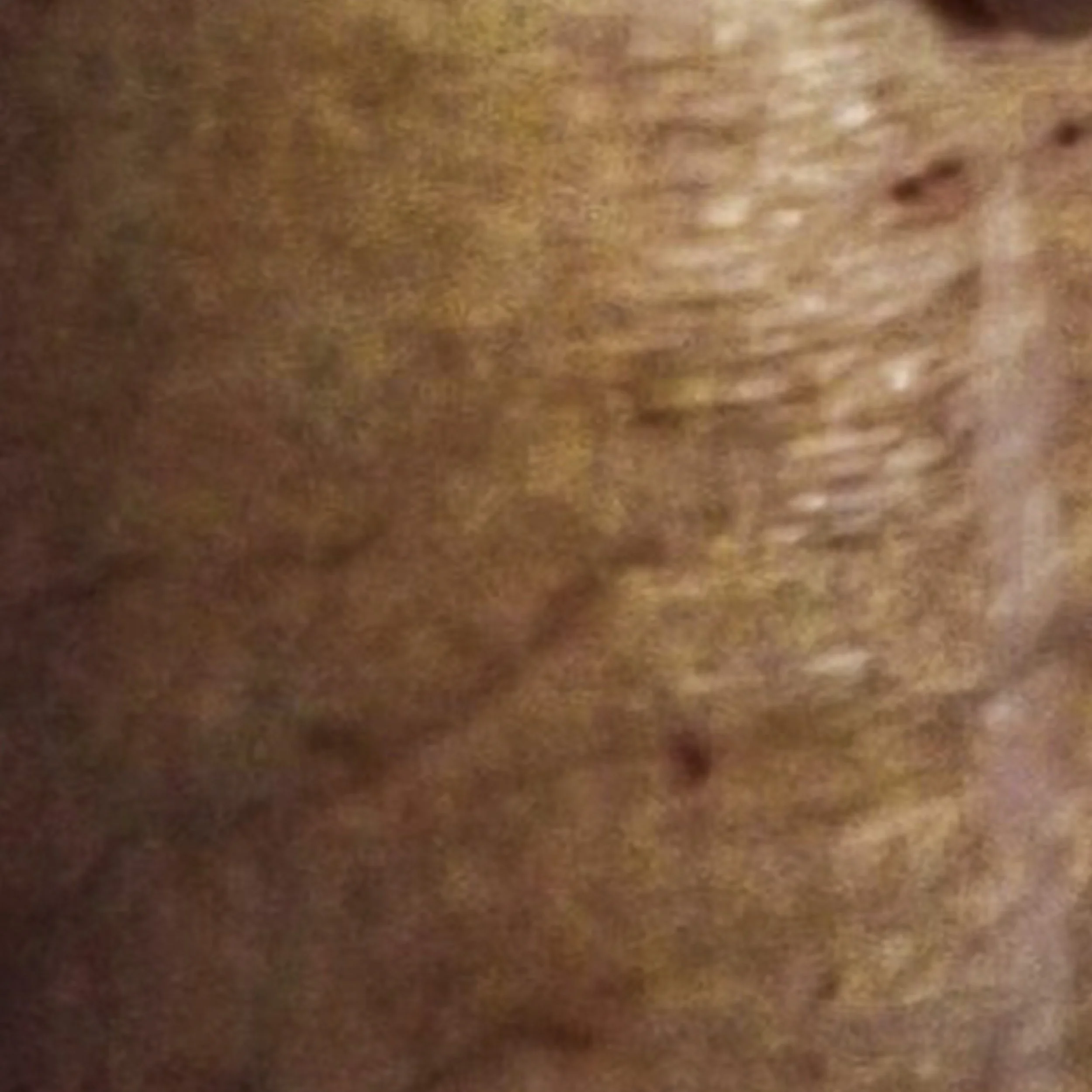 book cover- leg.jpg