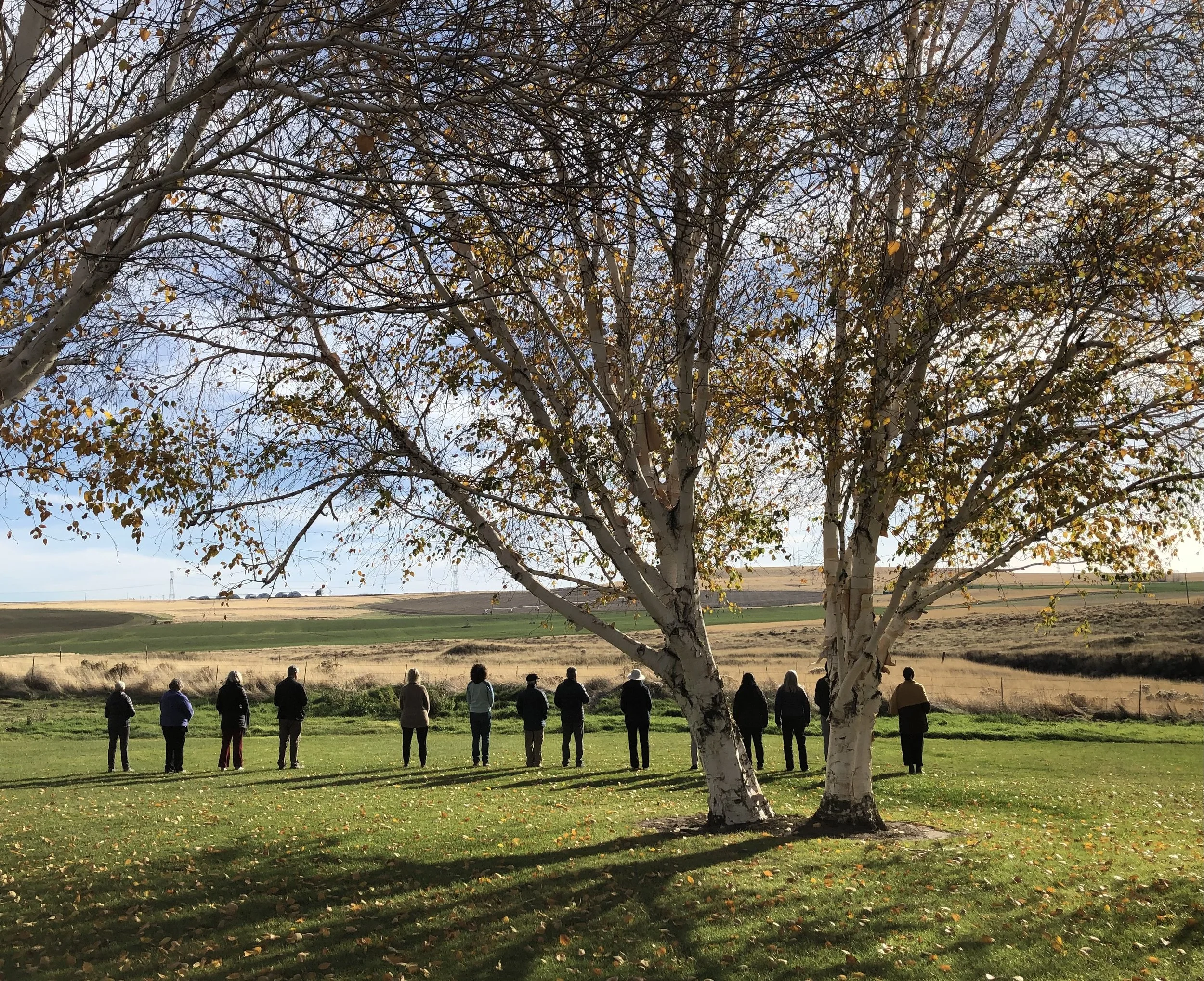 Contemplation witth Seido 25.jpeg