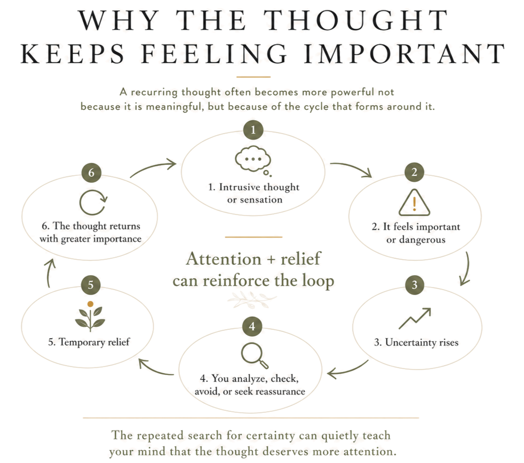 Flowchart titled 'Why the thought keeps feeling important' illustrating a cycle of thought involving intrusive thoughts, perceived importance, uncertainty, analysis, temporary relief, and returned importance.