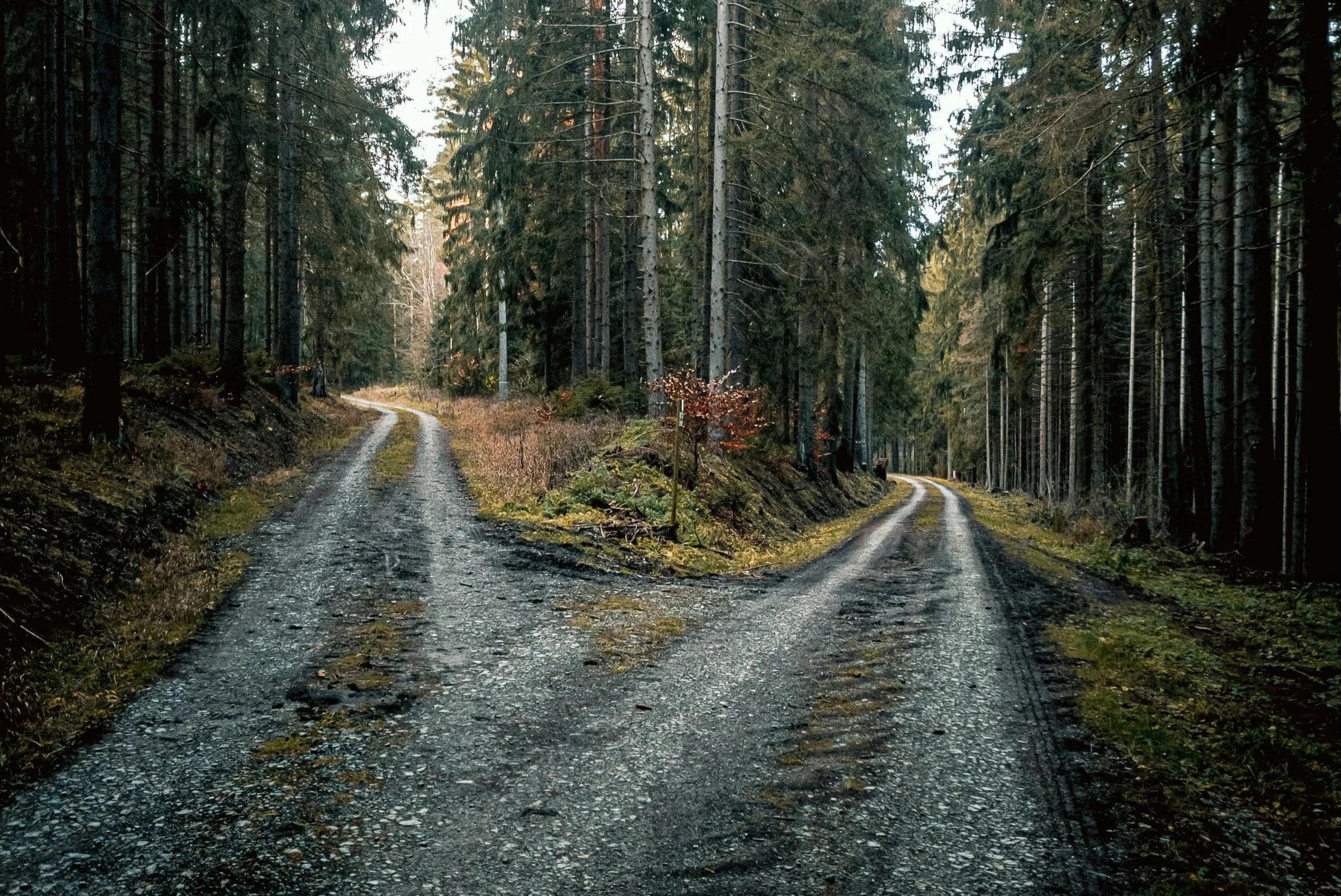 Why you feel like you have to be certain to move forward 