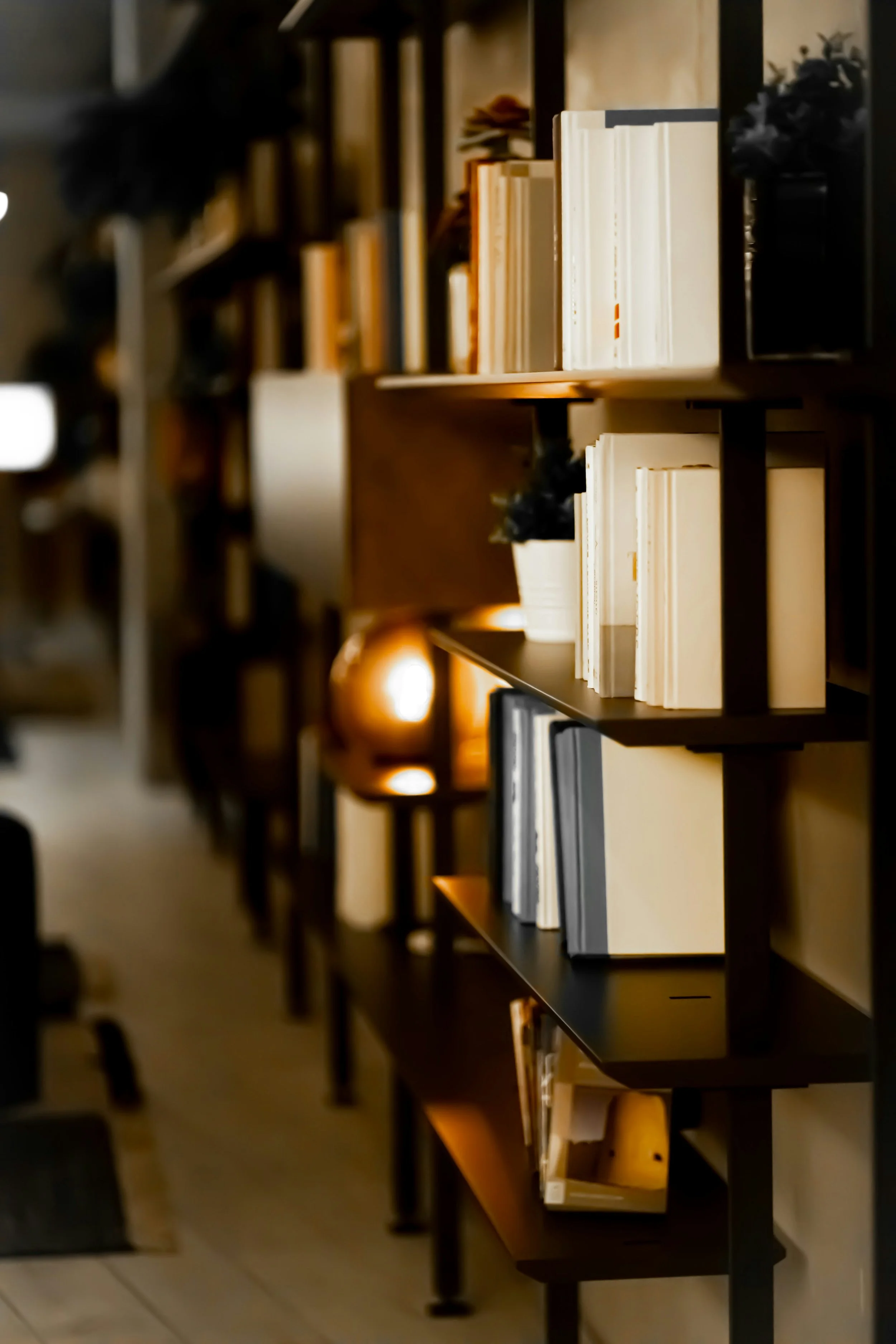 Bookshelf filled with various books about resources for those looking to learn more about OCD, Intrusive Thoughts, fear, and anxiety.