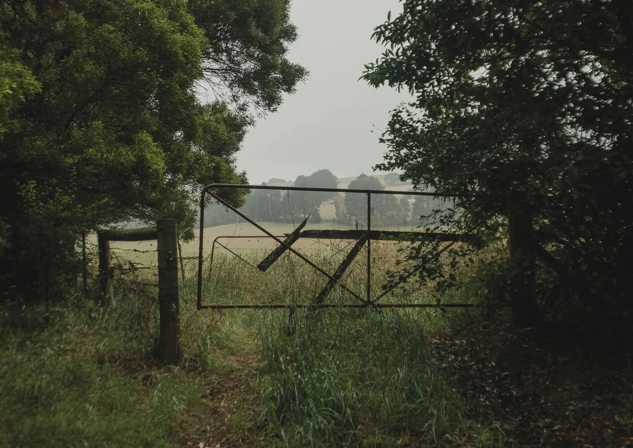 A rural scene of a dirt field surrounded by trees with green leaves, an open gate with a broken fence, and overcast sky. The image is a metaphor for responding differently to OCD, Intrusive Thoughts, Fear and Anxiety.
