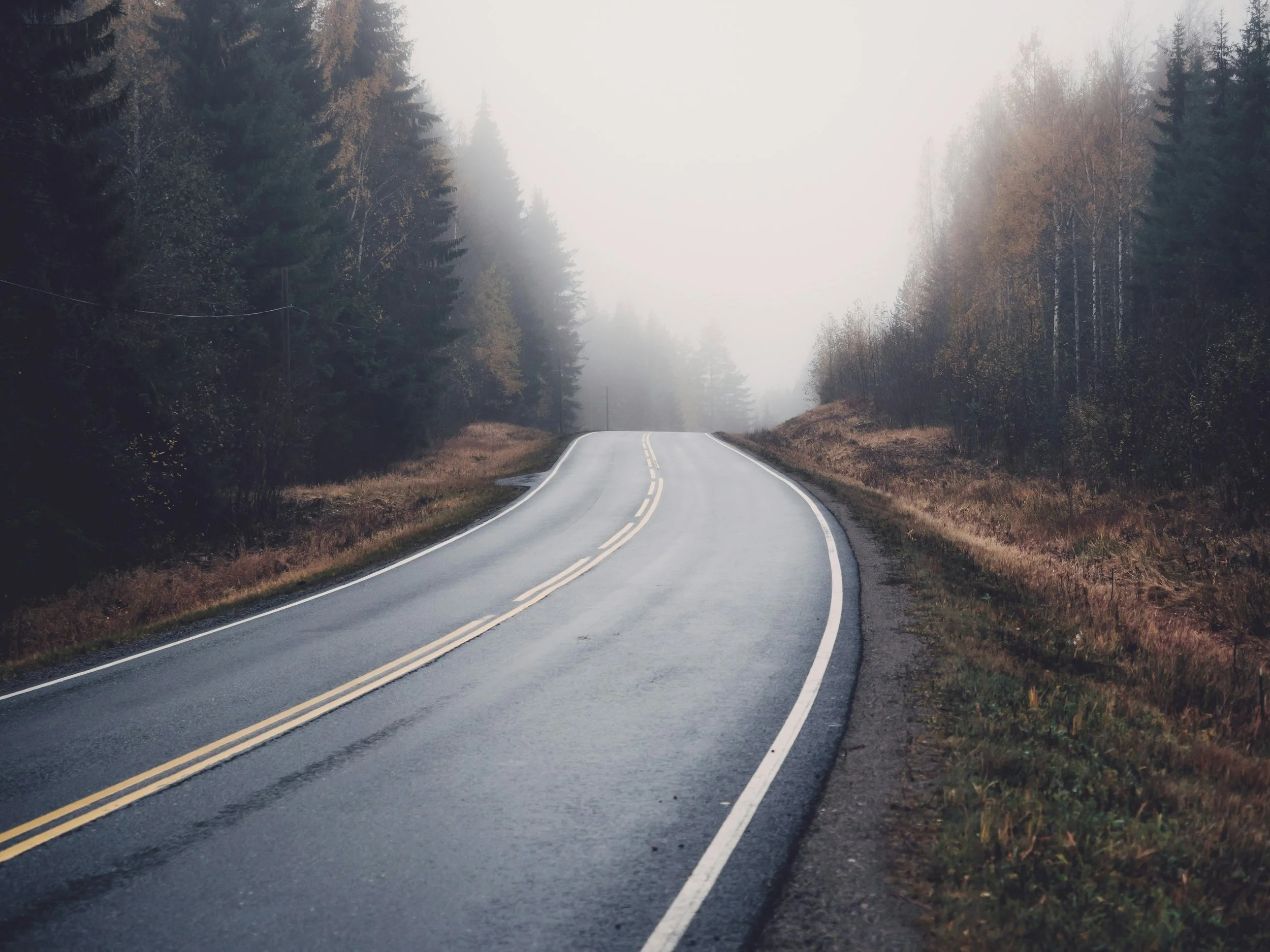 A two-lane road in a foggy forest with tall evergreen trees on both sides, curving into the distance.