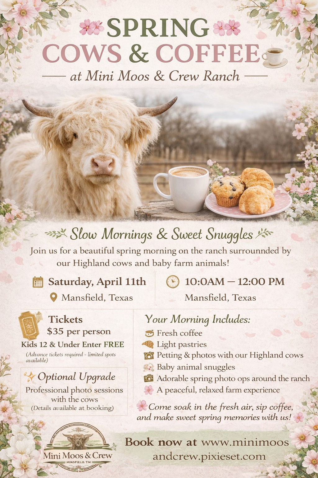 Spring event poster featuring Highland cows and farm animals at Mini Moos & Crew Ranch. The image shows a Highland cow with long, shaggy hair and curved horns, a cup of coffee, and a plate of pastries, set outdoors with a background of farm landscape and pink flowers.