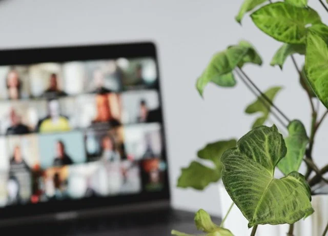 A laptop screen showing a video conference with multiple participants, with a green leafy plant in the foreground.