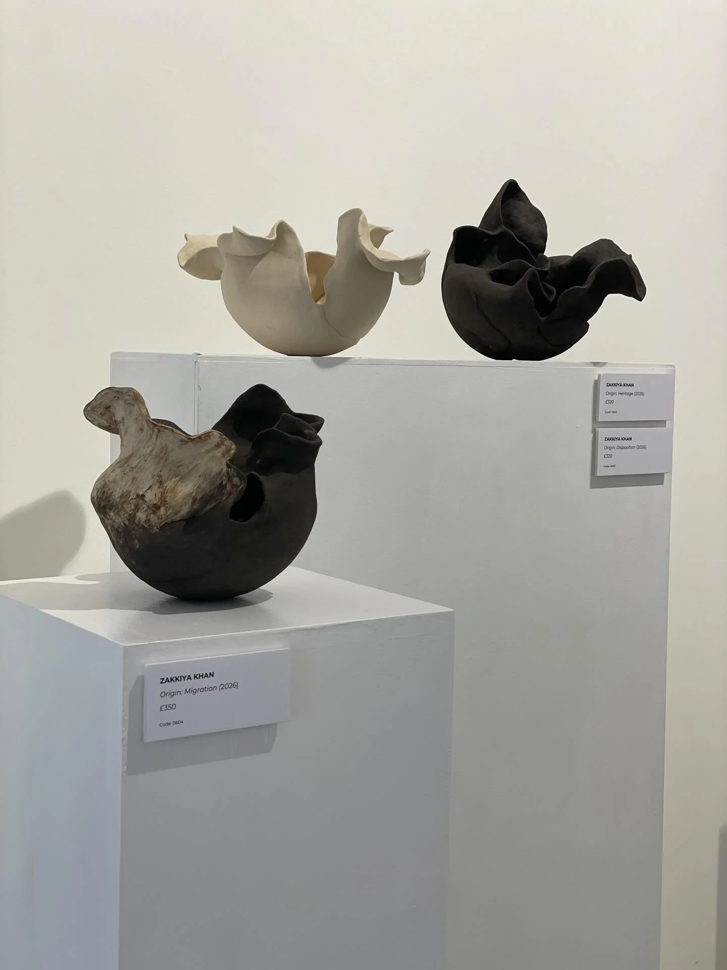 My pieces from my Origin series: Migration; Heritage; and Disposition are now all showing at Drift Tide Form, a very special group ceramics exhibition curated by Annie Lyle @ula.ceramics. Our show is @phoenix_artspace showing 25-29 March.

#brighton 