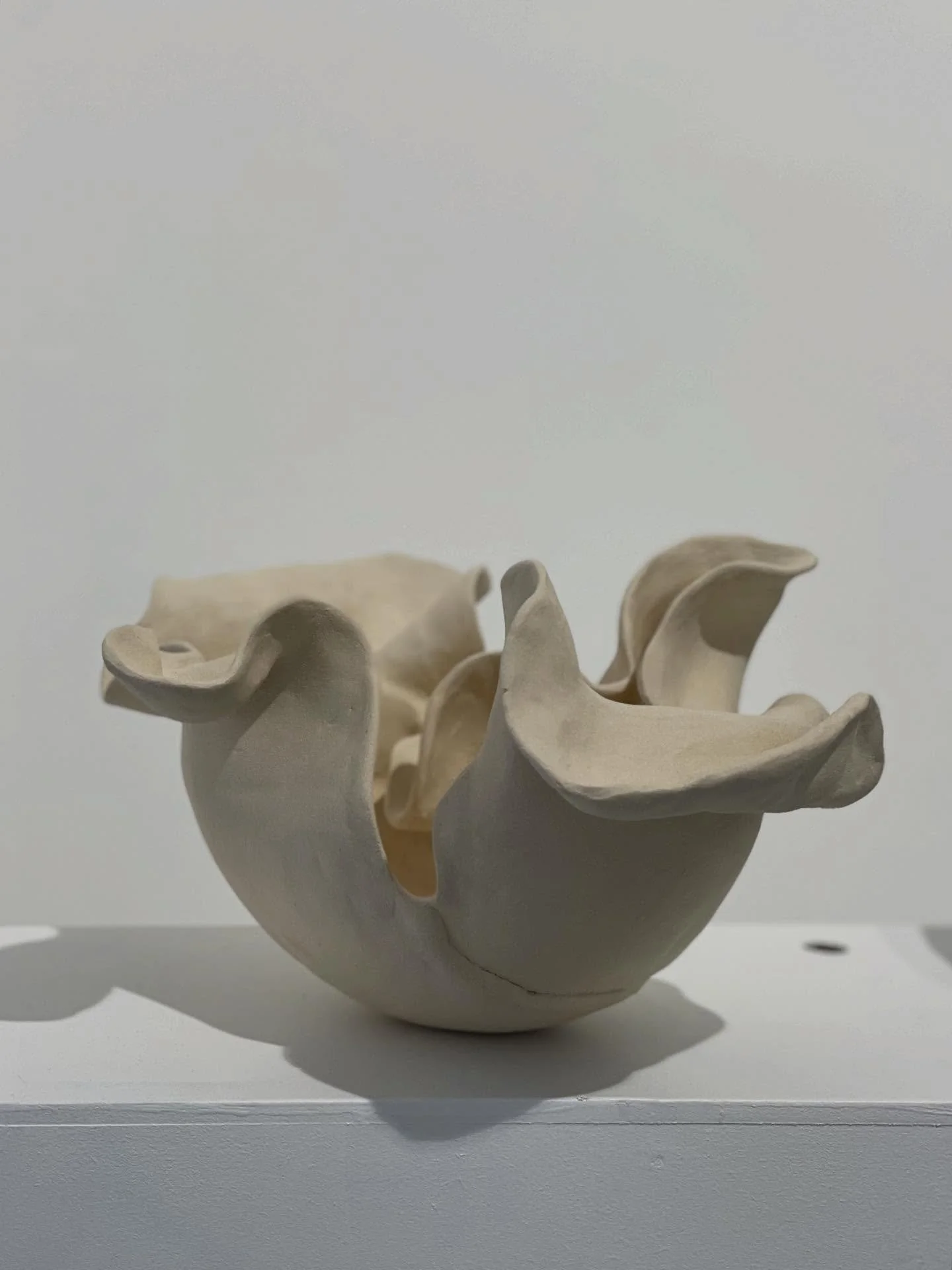 Origin: Heritage (2026)

Now showing at Drift Tide Form until 29 March @phoenix_artspace in Project Space.

From my Origin series. This piece speaks to inheritance that shapes us. Its pale clay body evokes bone: fragments of our biology carrying our 