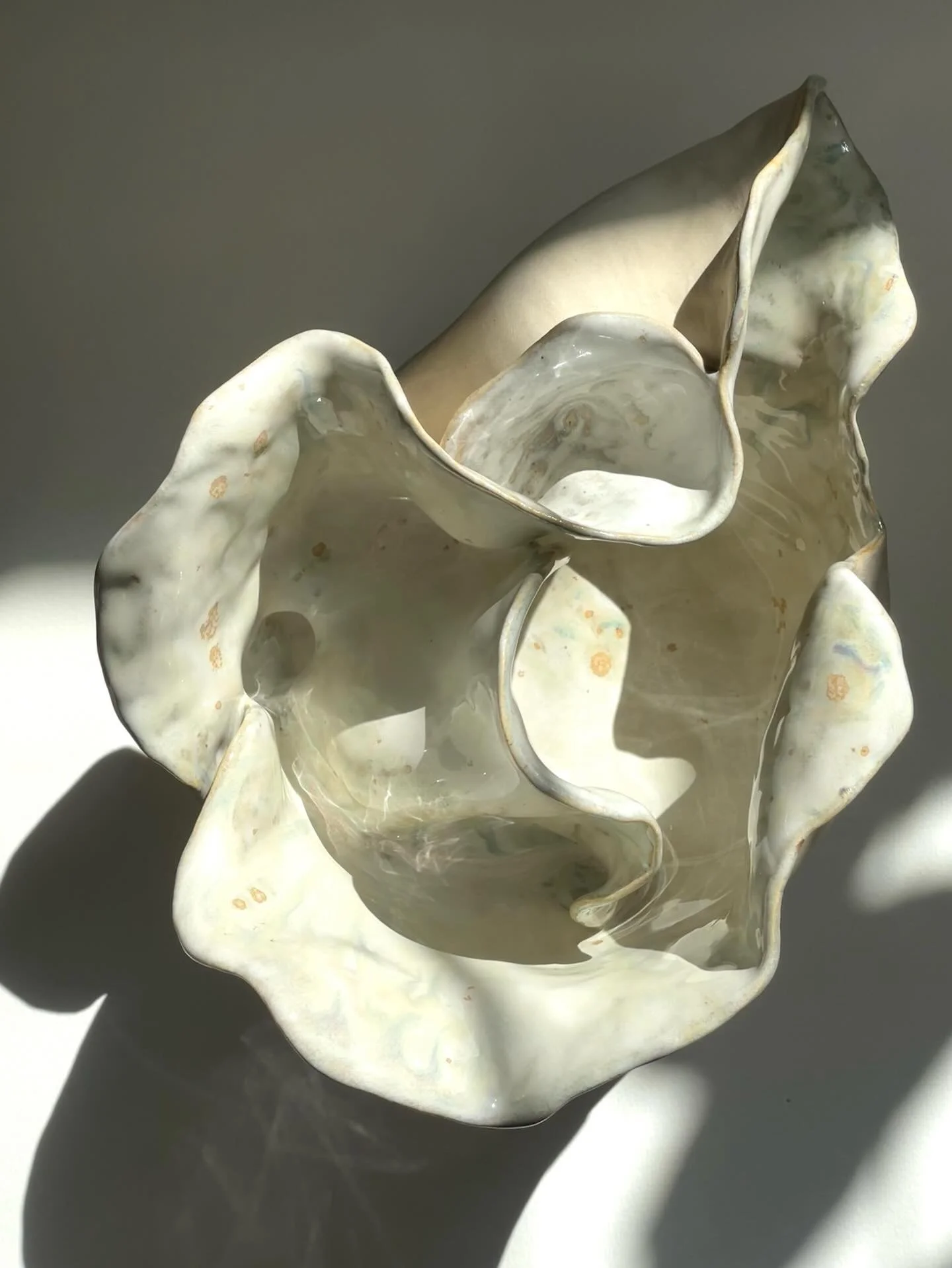 Introspection (2026)

As humans, we have always been fascinated by nature, seeking wisdom and meaning in our interactions with her. Referencing the act of listening through a shell, &ldquo;Introspection&rdquo; turns us away from external noise and to