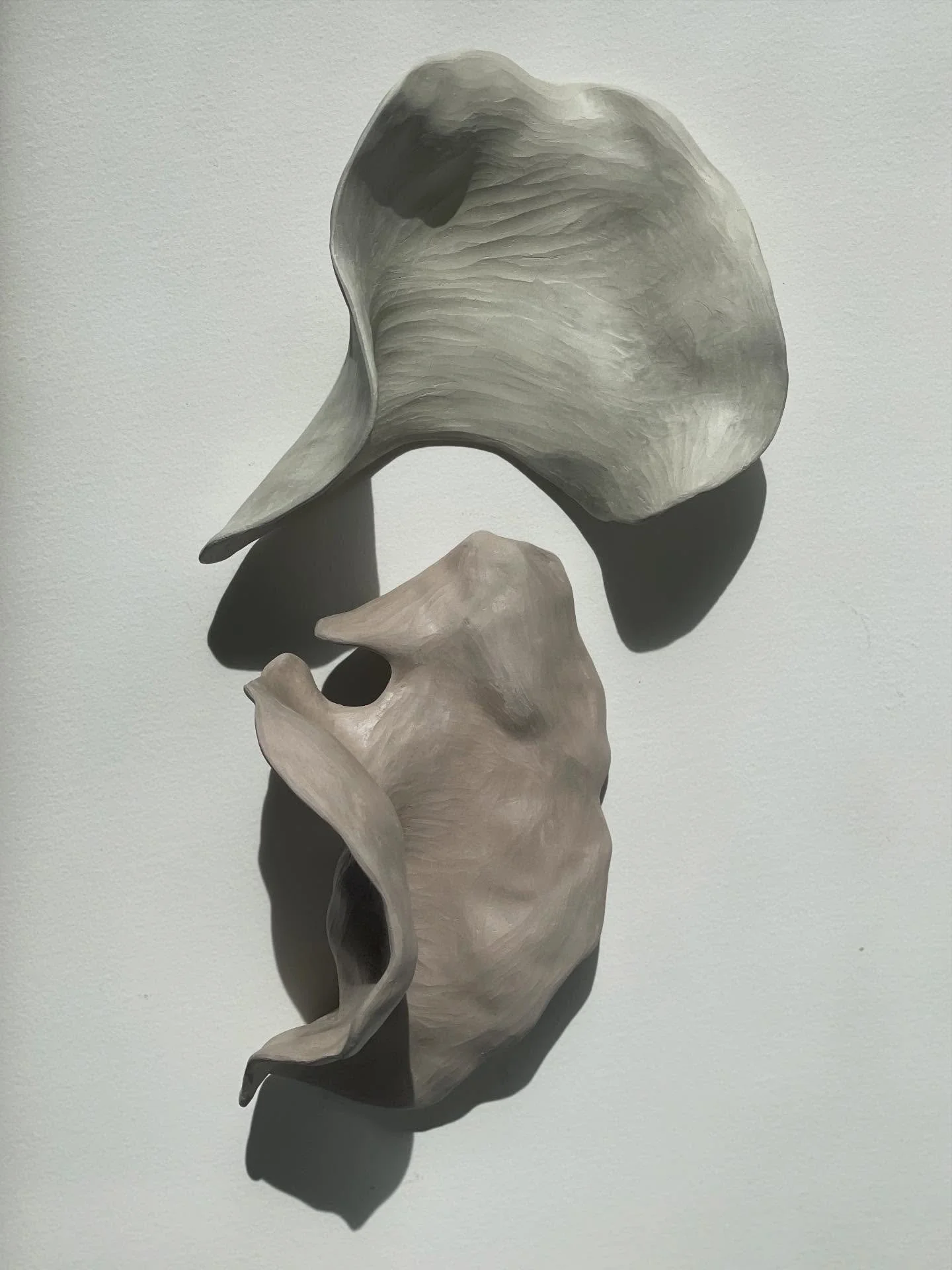 She pressed her hands into the earth
and the earth answered back.

What remained were these:
part hand, part ground, part something else entirely.

Left behind, they didn&rsquo;t disappear.

They stayed.

And slowly, they began to find a voice of the