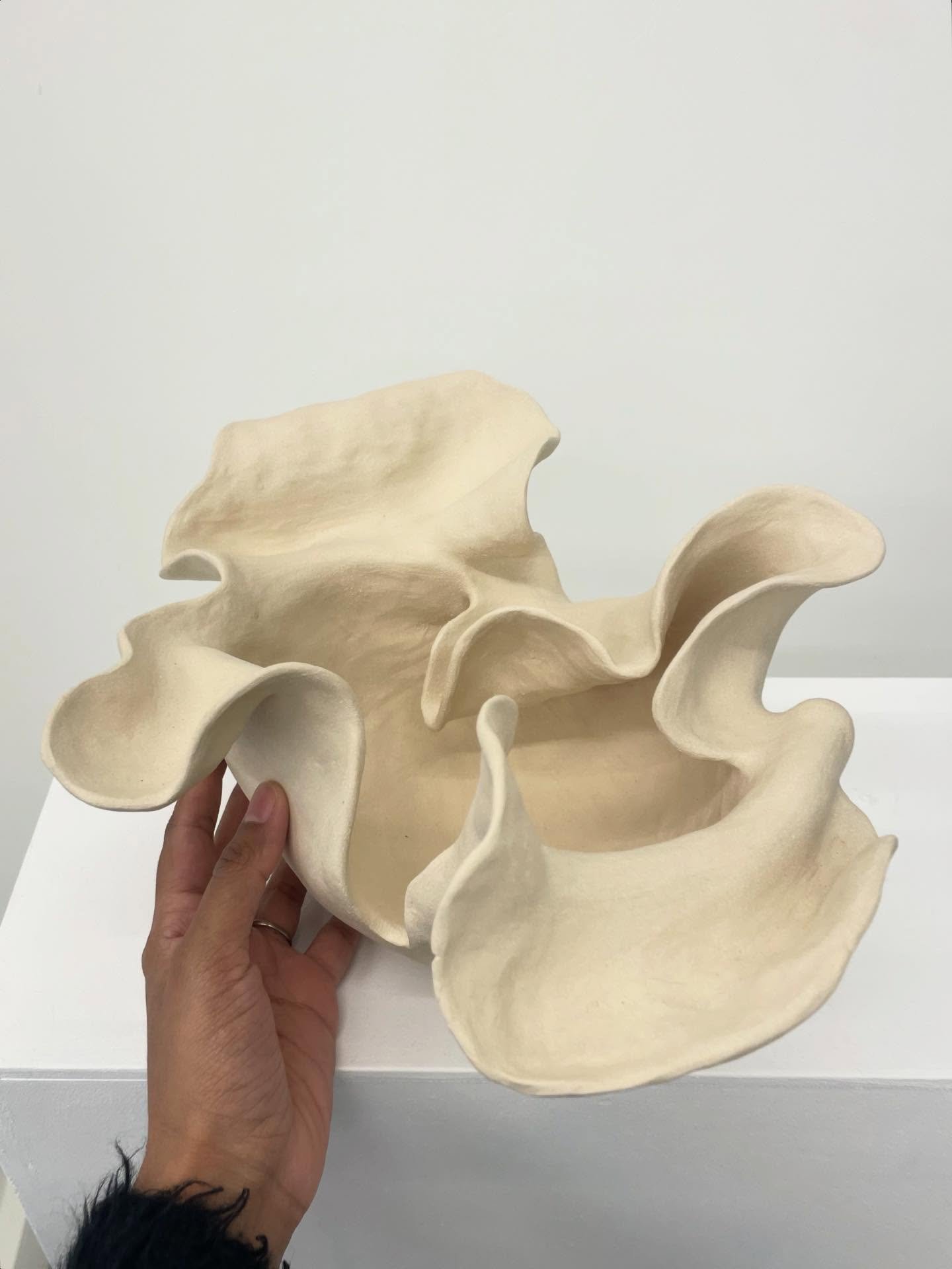 Origin: Heritage (2026)

This piece speaks to inheritance that shapes us. Its pale clay body evokes bone: fragments of our biology carrying our lineage within our being.

Unfolding from a single origin, the form suggests how heritage lives within us,