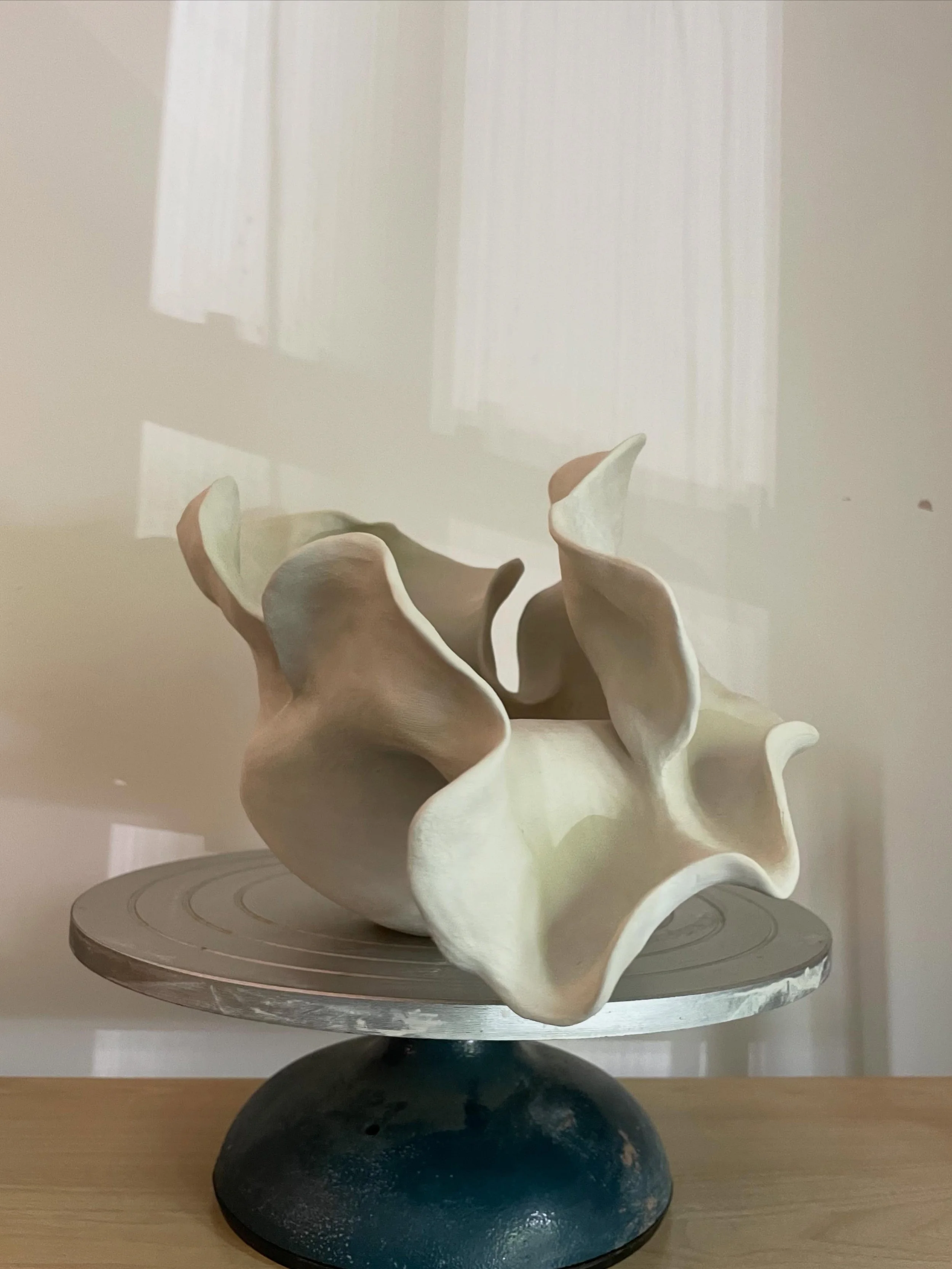 Work in Progress on my home drying shelf.

It&rsquo;s been some time since I&rsquo;ve touched clay ⚪️

#ceramics #ceramicarts #sculpture #floral #luminaire