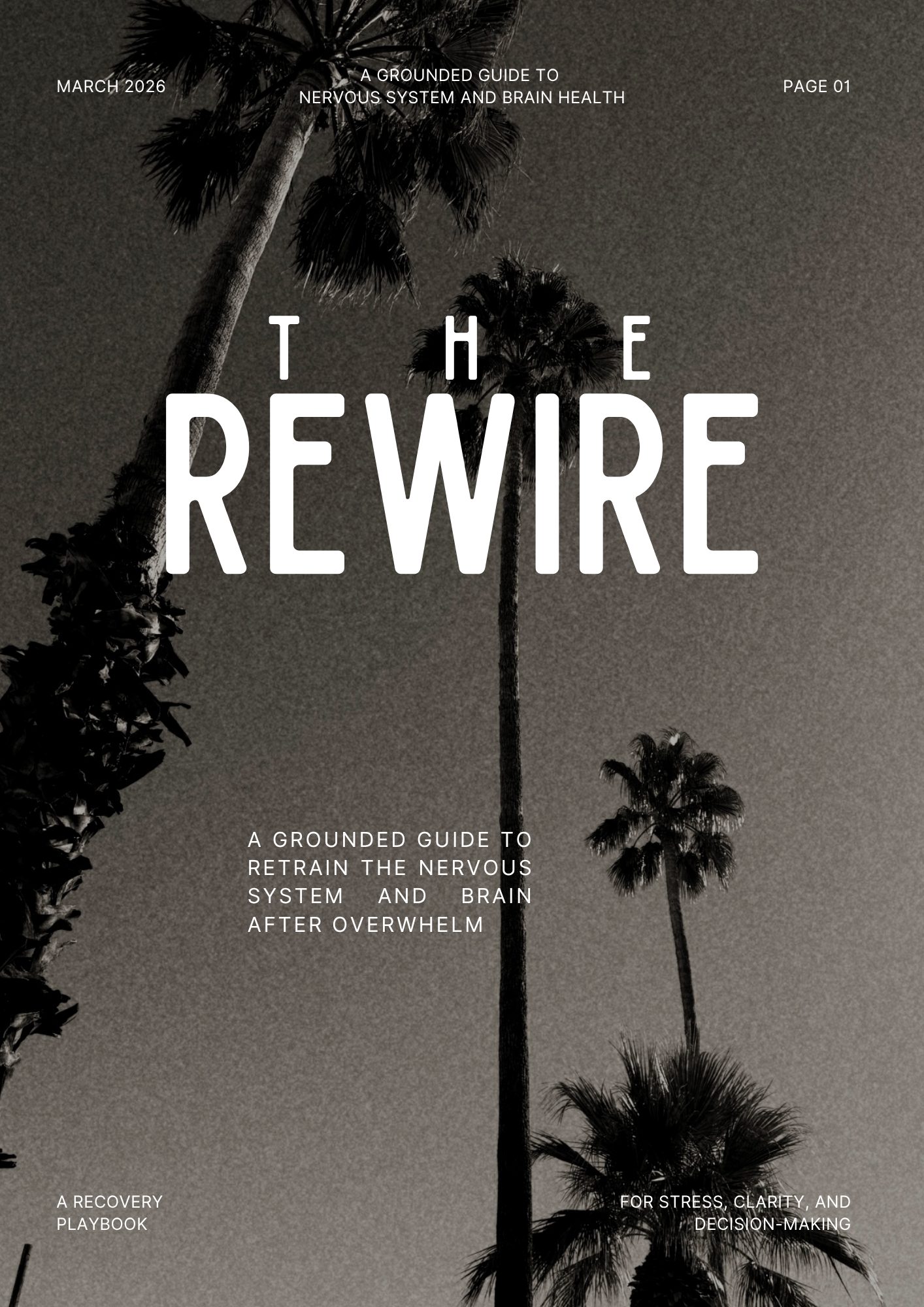 The Rewire.png