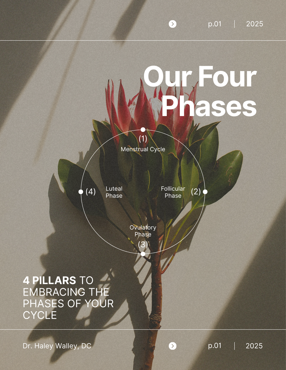 Our Four Phases guide cover