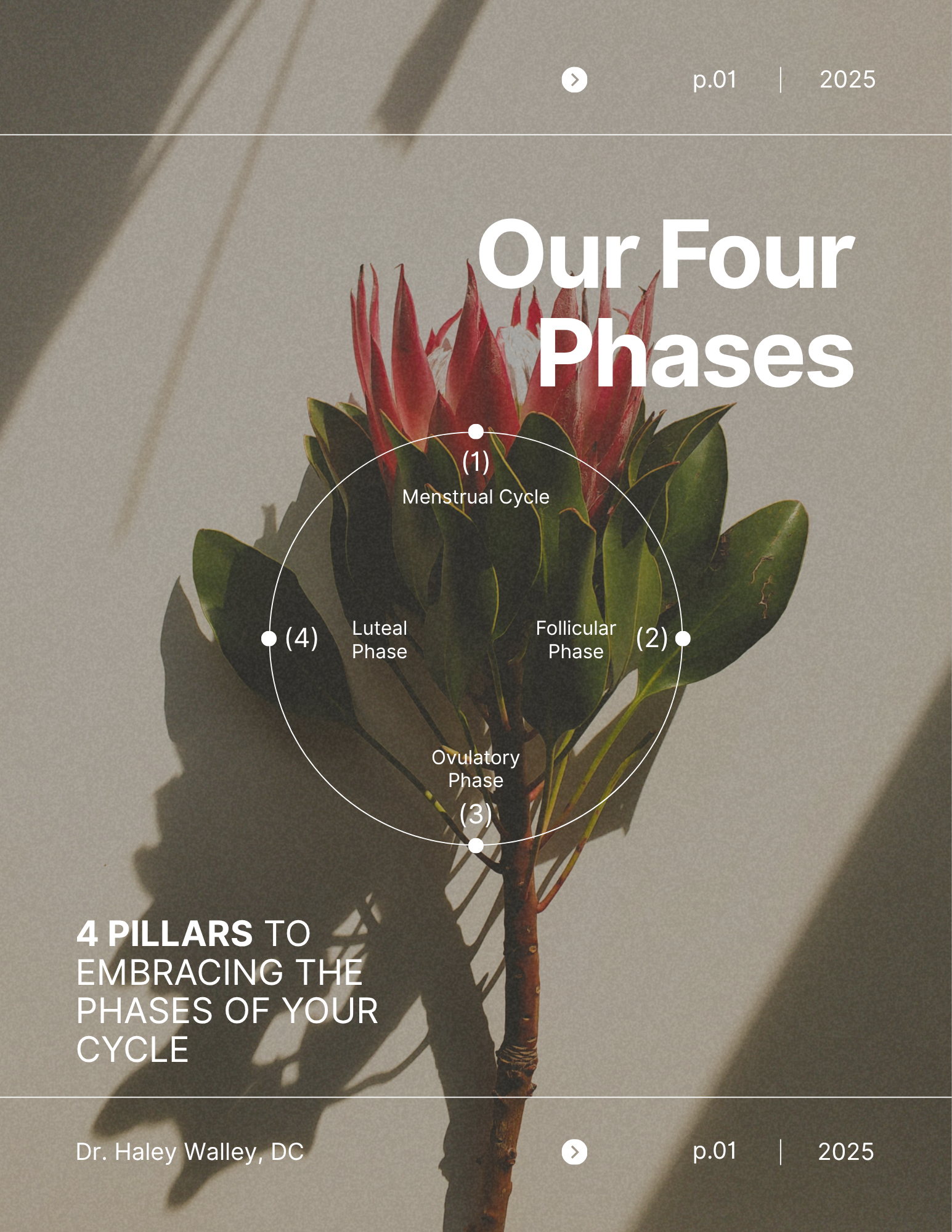 Our Four Phases