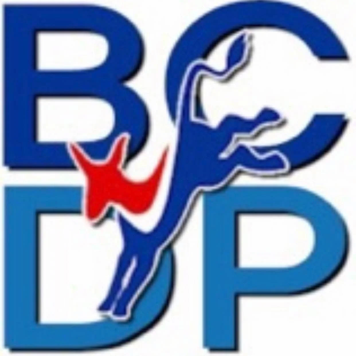 BCDP Community Meeting