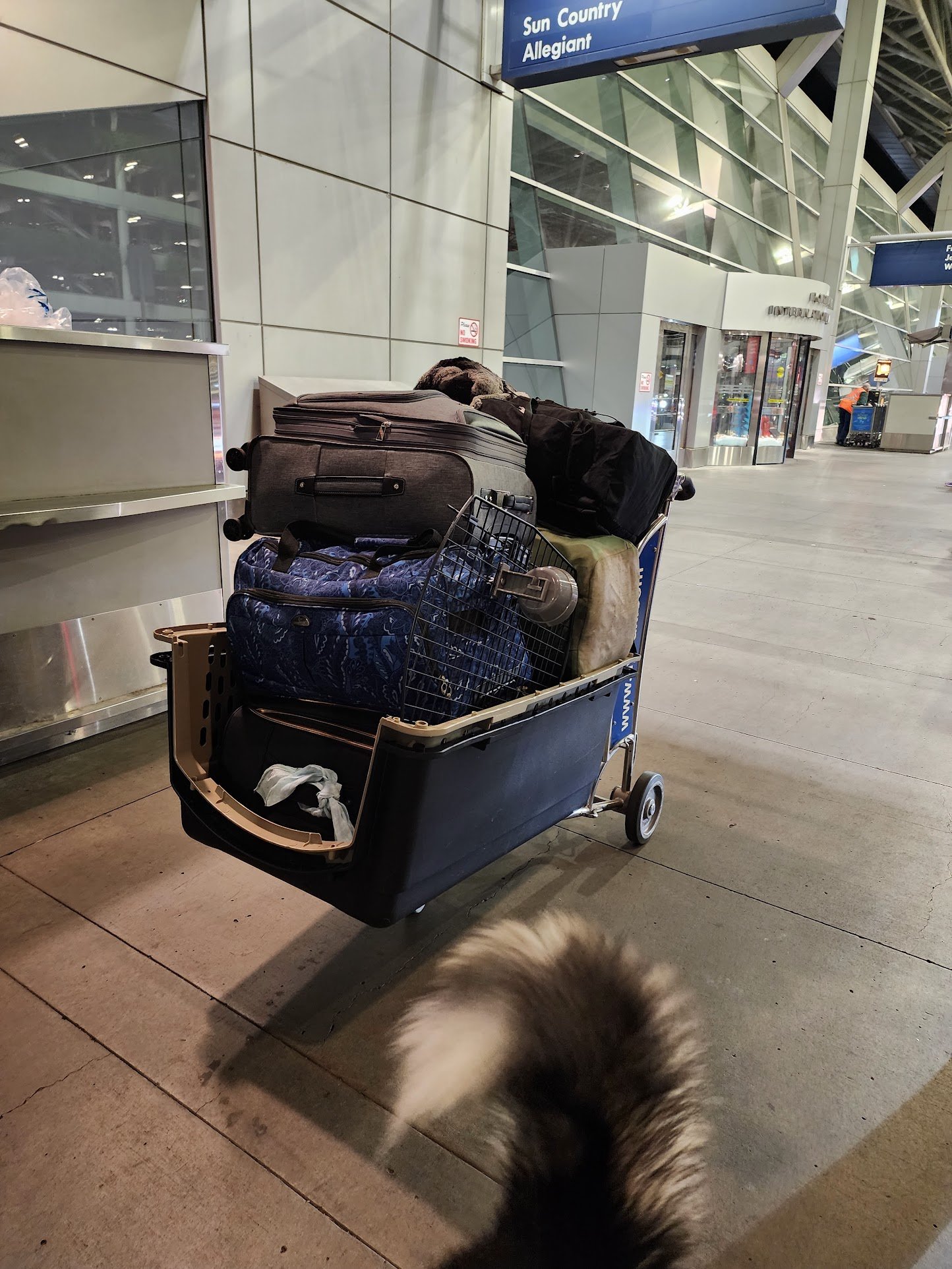 airportluggagedogkenneltravelmove.jpg