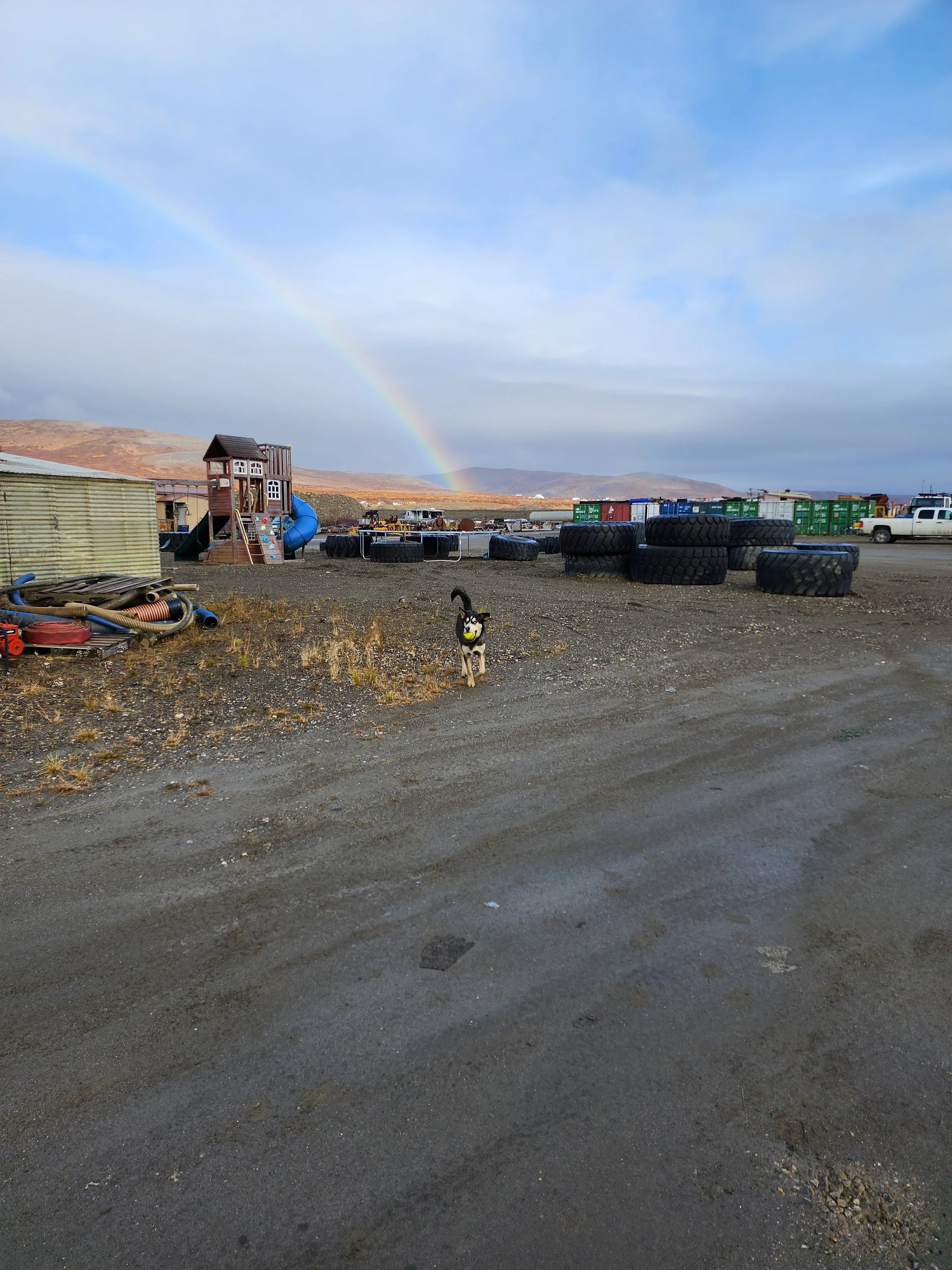 oceanrainbowhopehusky.jpg