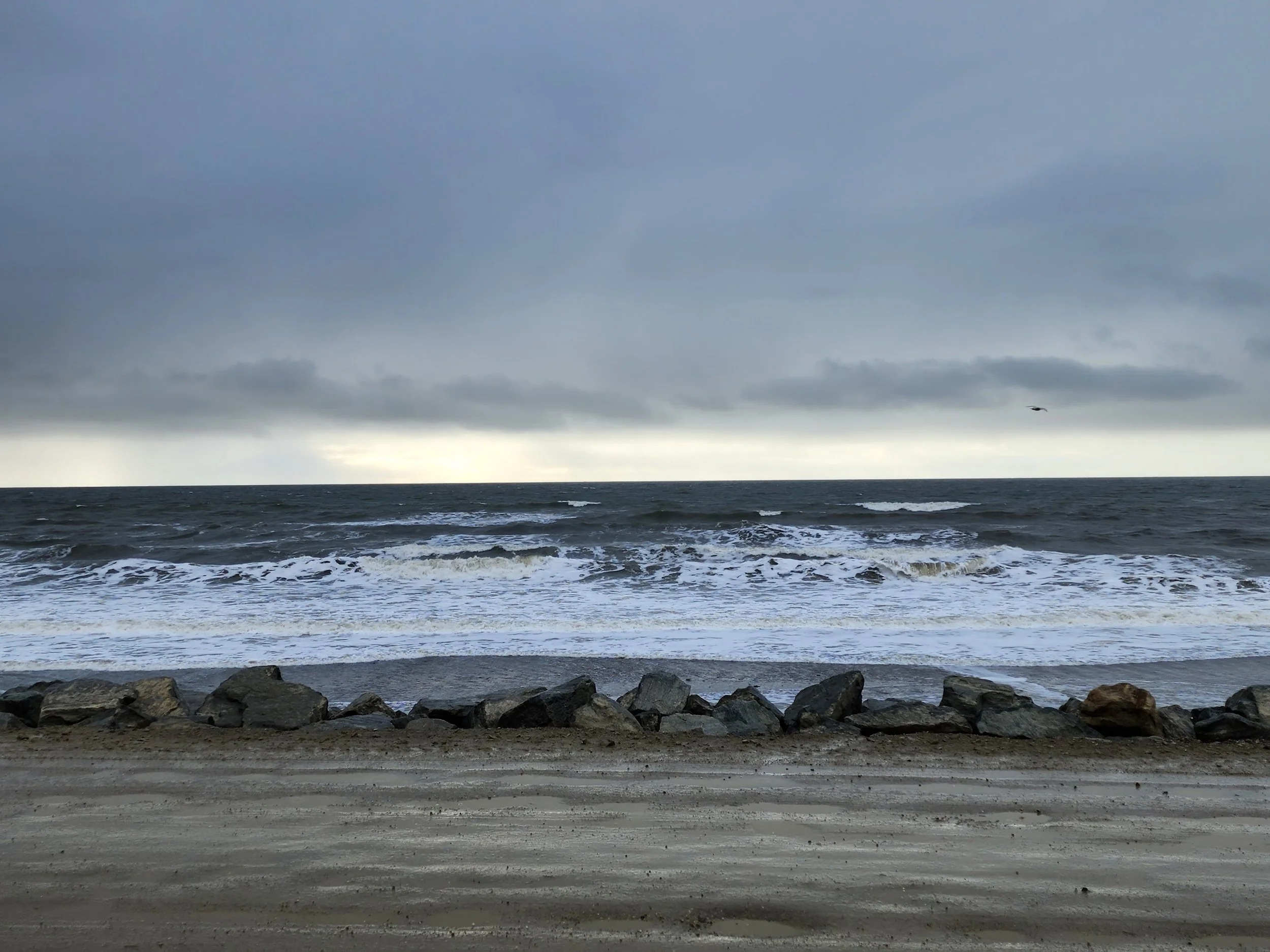 oceanalaska.jpg