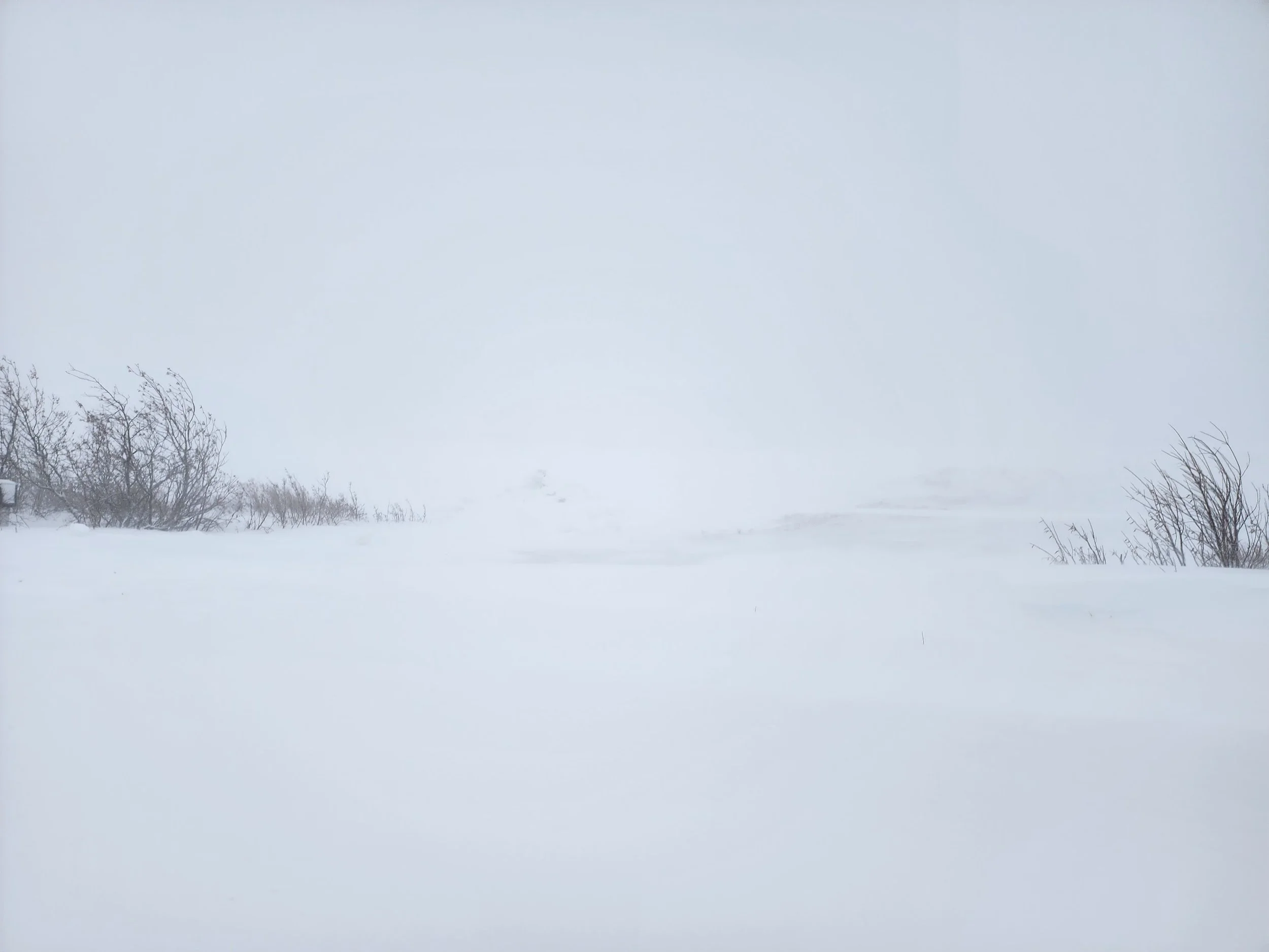 Alaskanblizzardnomekayla.jpg