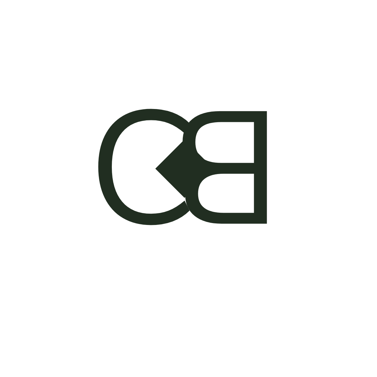 Camille Bridges - Education Leader