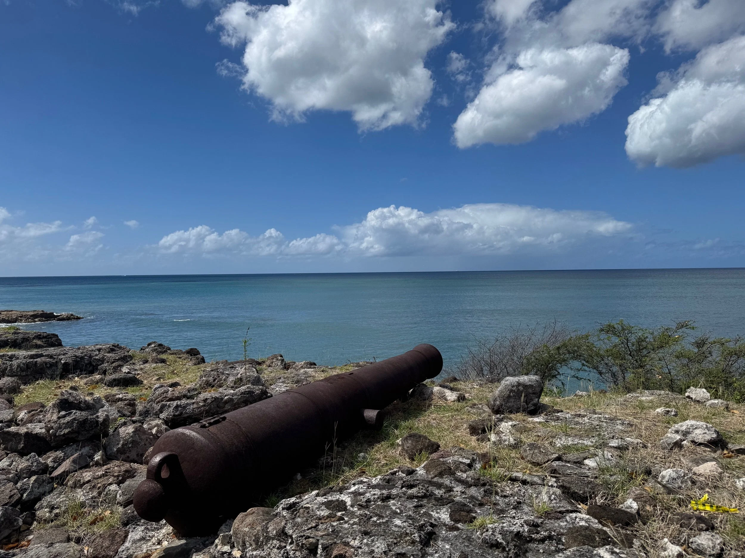 An old rusted cannon lies on rocky shore with sparse grass and bushes, overlooking a calm ocean under a partly cloudy blue sky.