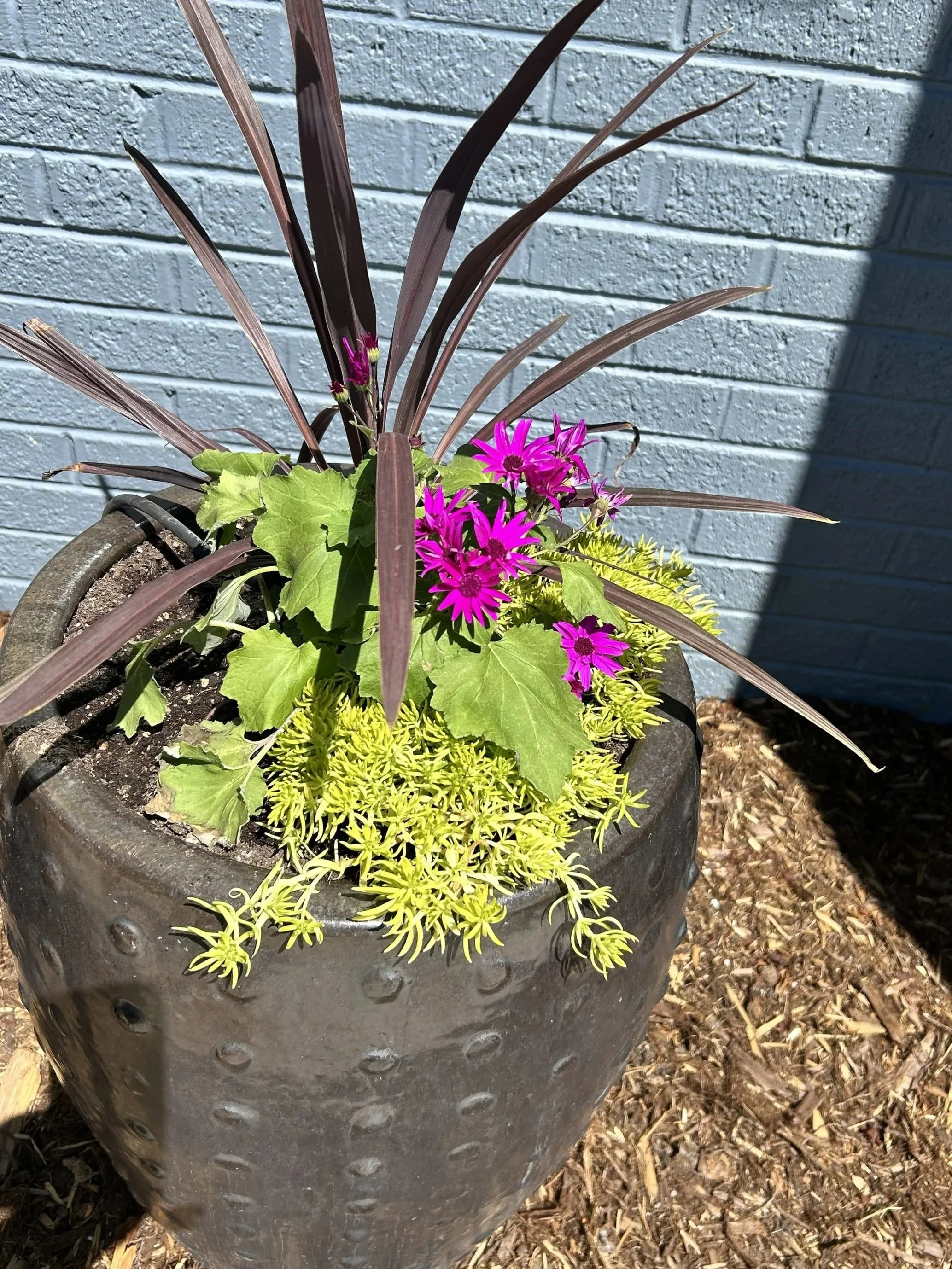 IMG_20260917_202250+%281%29.jpg