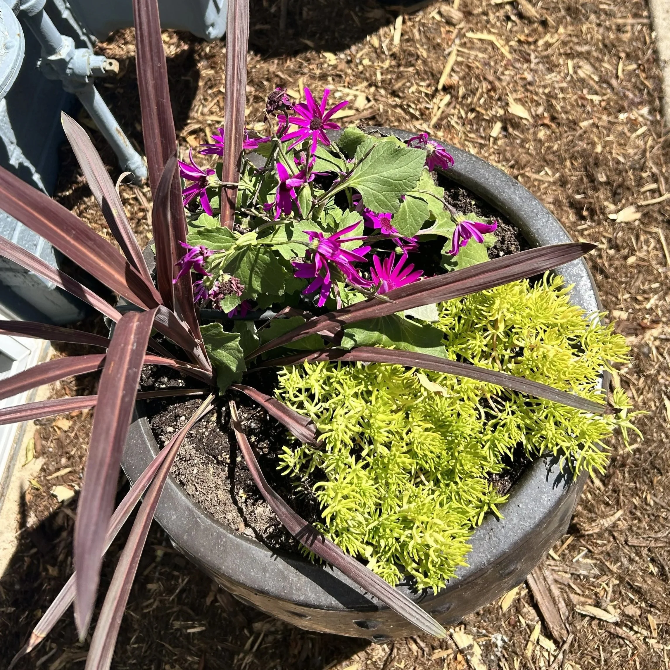 IMG_20260917_202250+%282%29.jpg