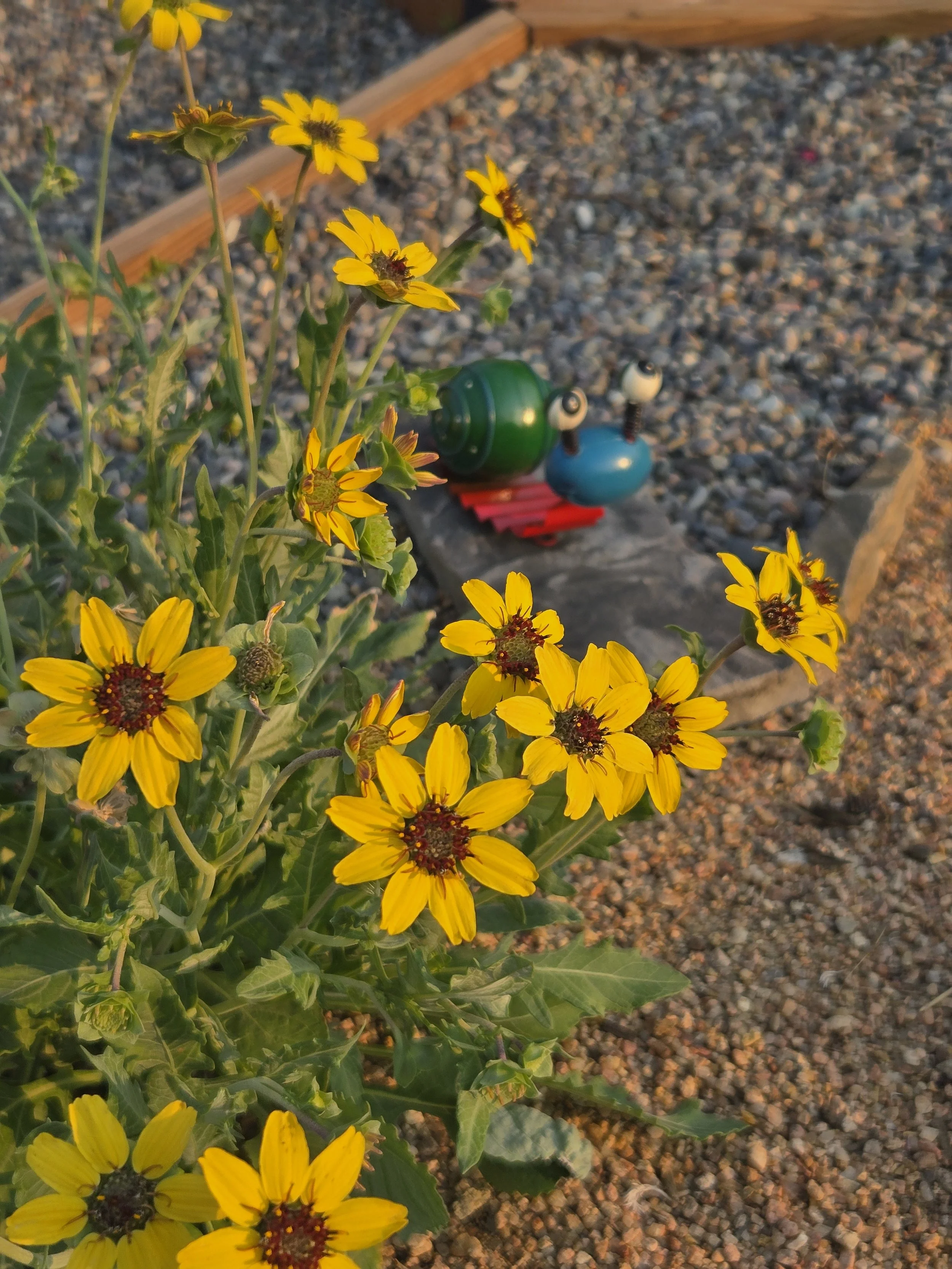 20260804_073727.jpg