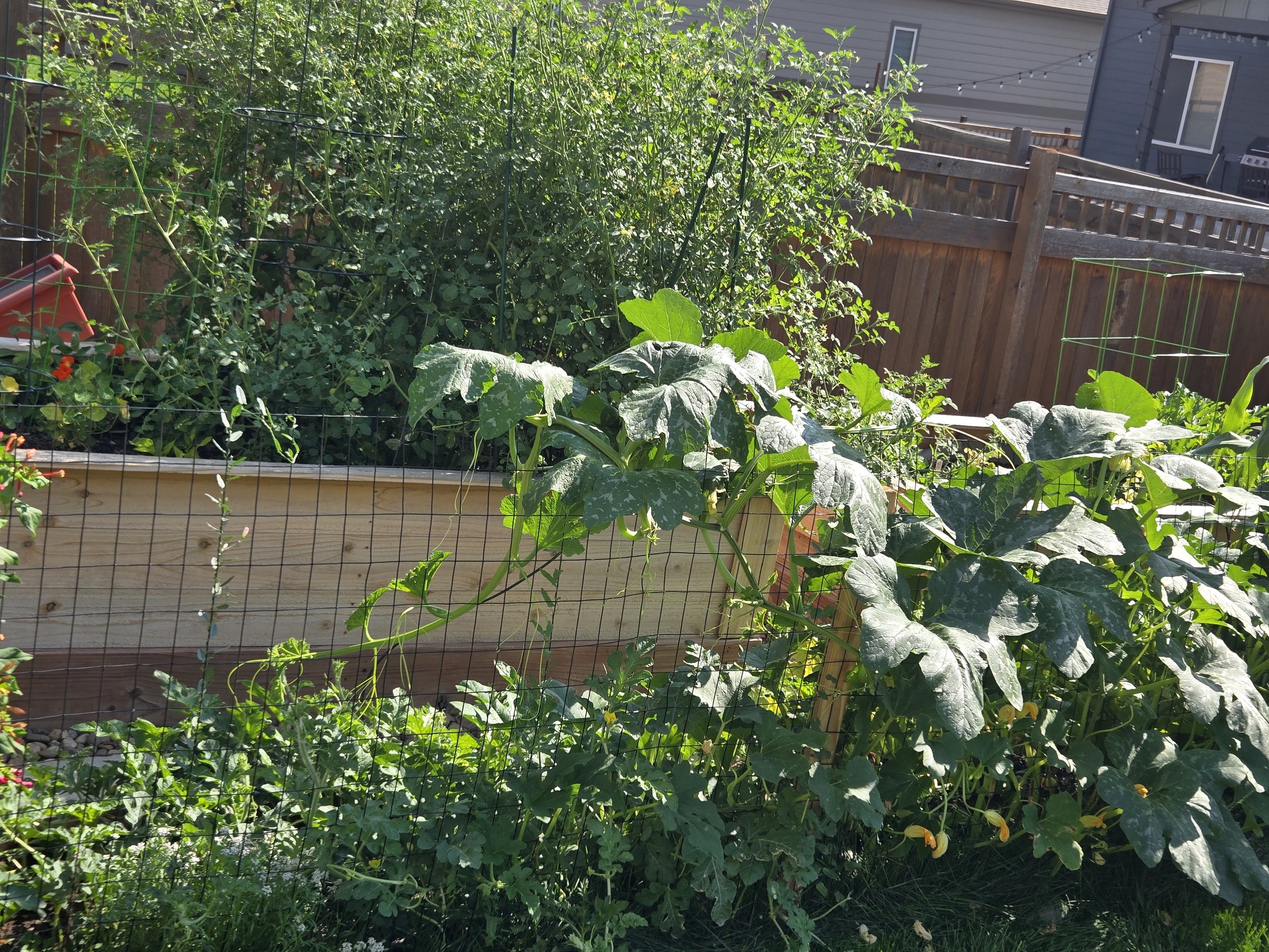 20260731_162519.jpg