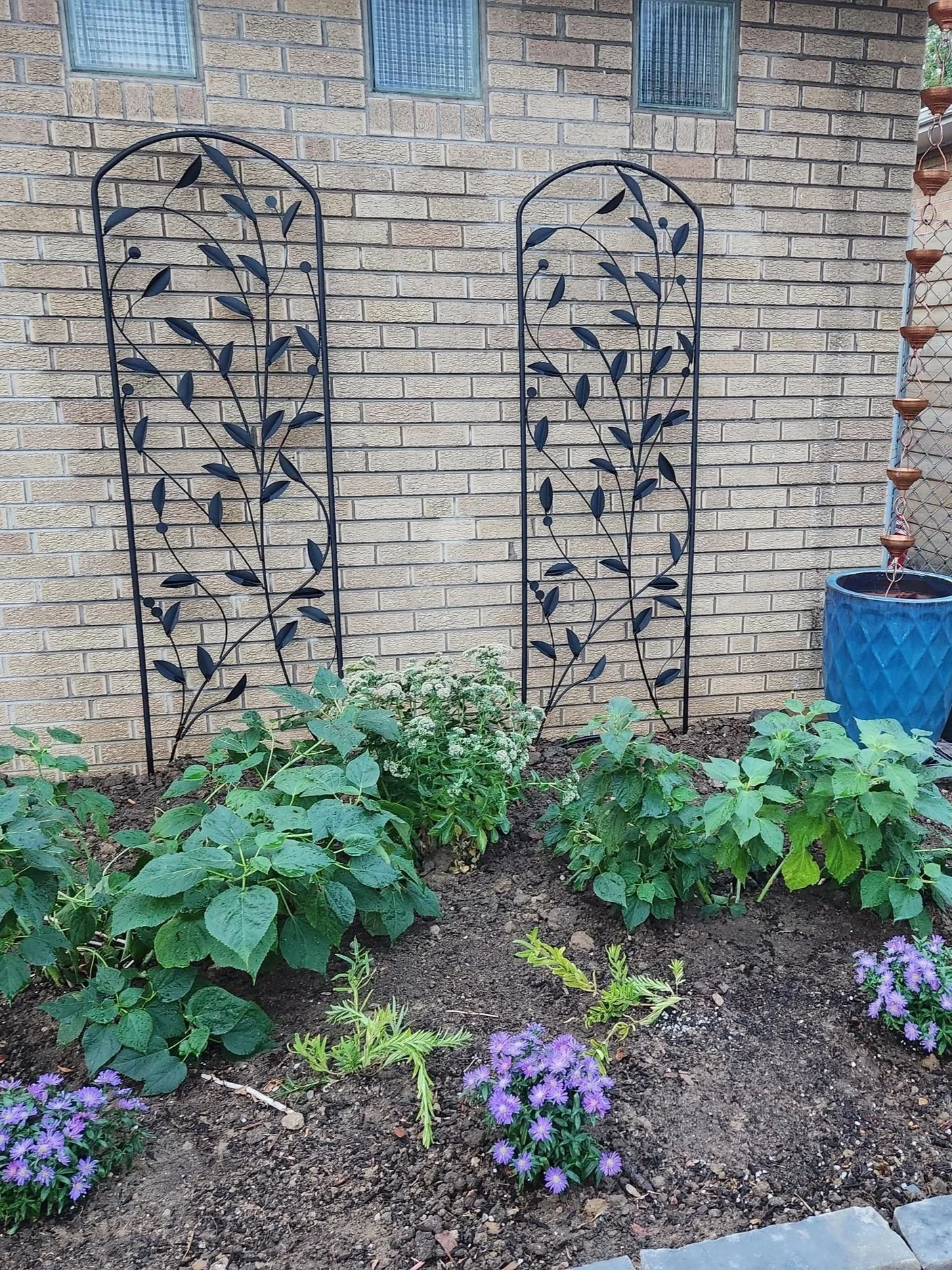 A small garden with green leafy plants and purple flowers in front of a brick wall, with two decorative black metal trellises and a large blue planter with a hanging planter.