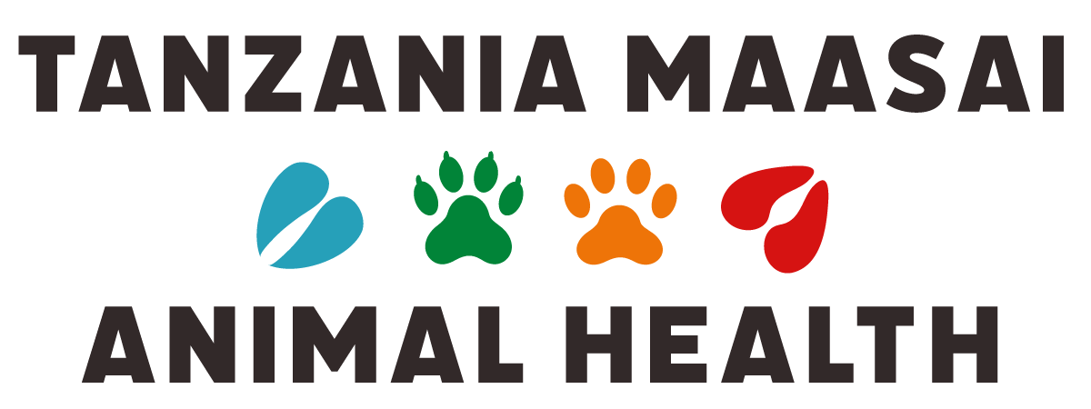 Tanzania Maasai Animal Health