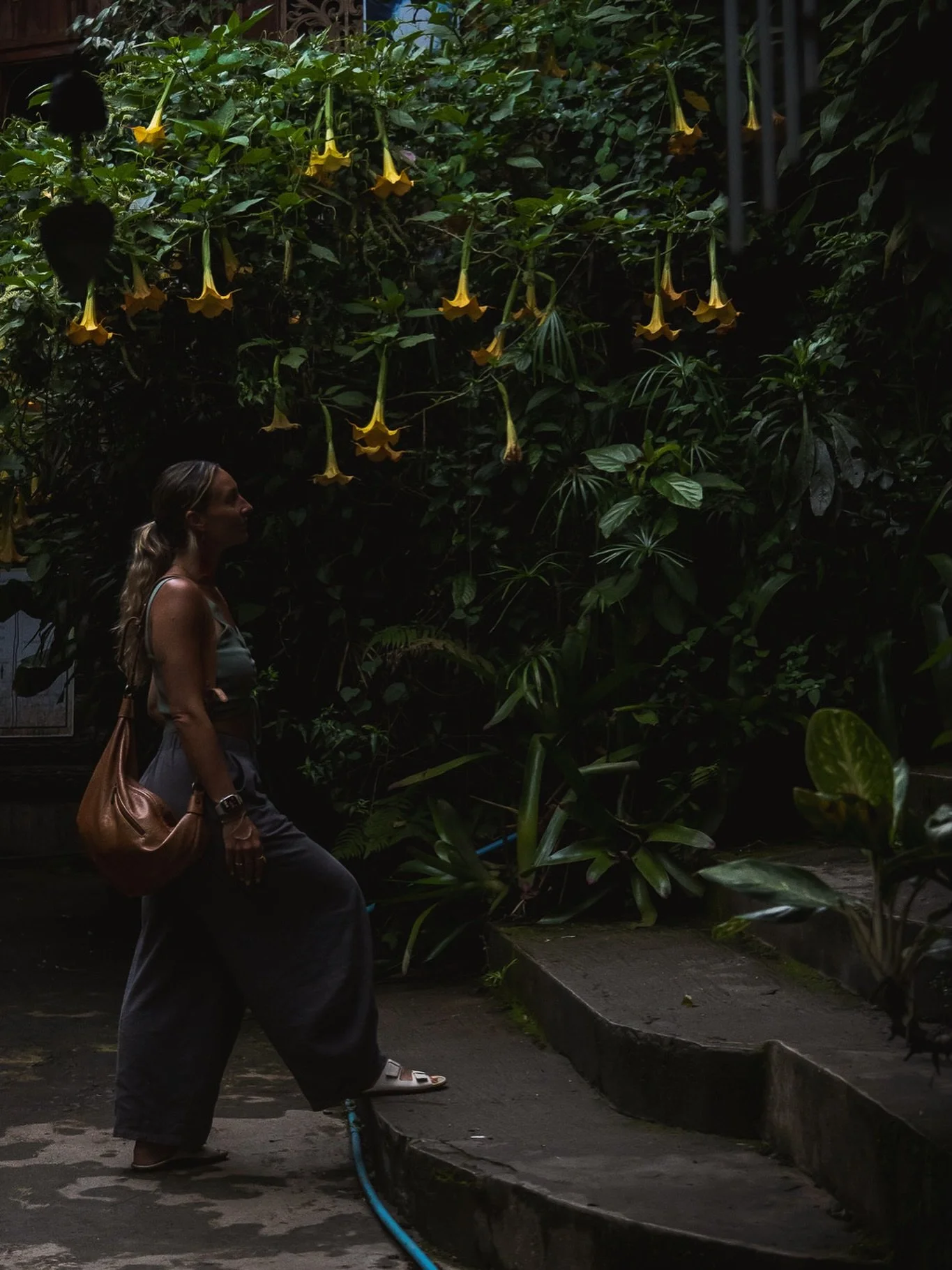 Some places make you forget the real world exists. 🧚🏻&zwj;♀️ 
This is one of them. 🌳

Northern Thailand, you have my whole heart.

1,3,4,5,6 - Mae Kampong Village 
2. Chom Cafe &amp; Gardens, Chiang Mai 

#chiangmai #travelphotography #wanderlust 