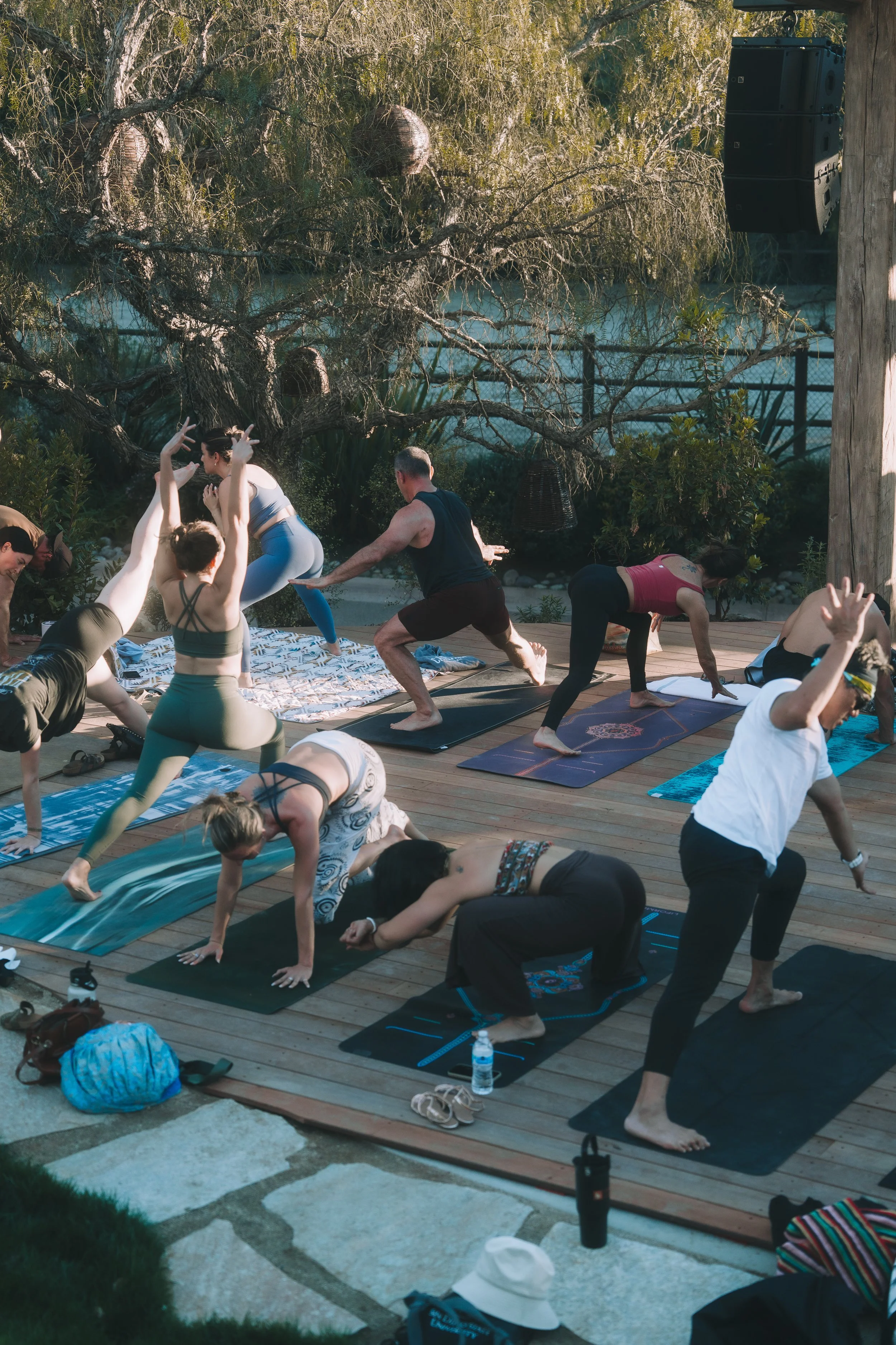 A group of people practicing yoga outdoors on yoga mats under a tree, with some in a bent-over pose and others in different yoga poses, surrounded by nature and a wooden deck.