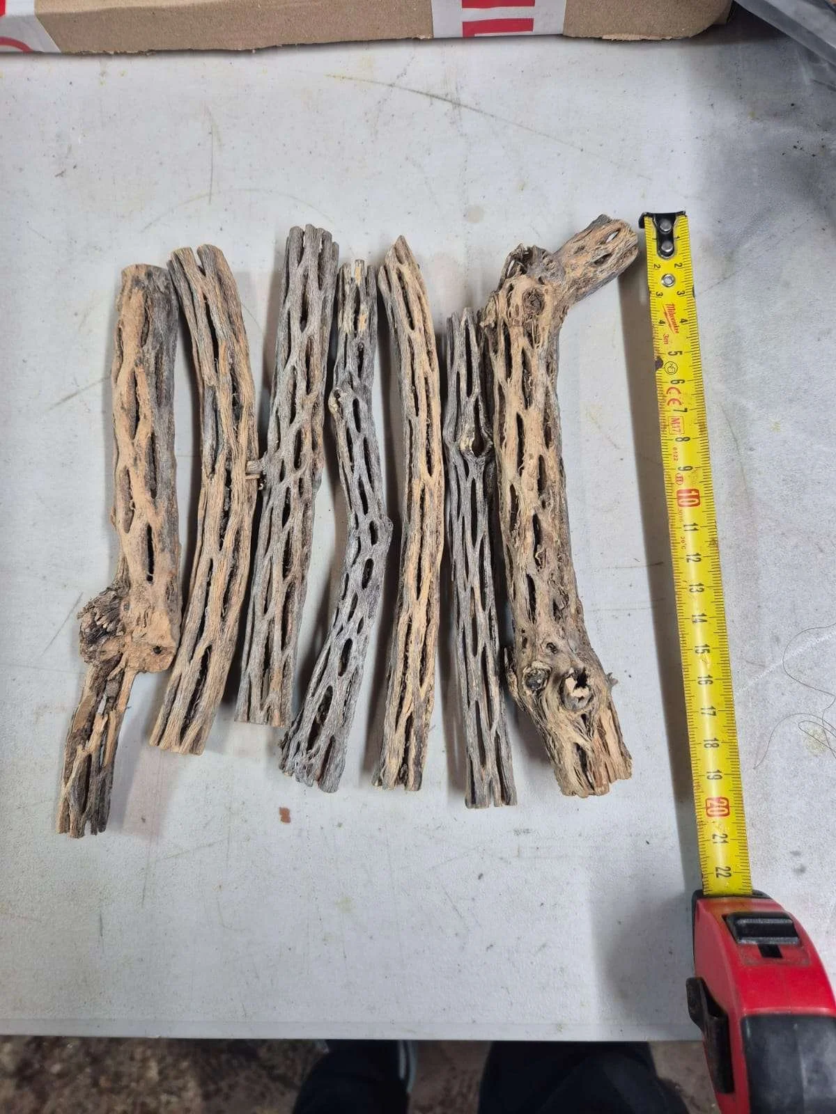 Garage Aquatics - Cholla wood (Singles)