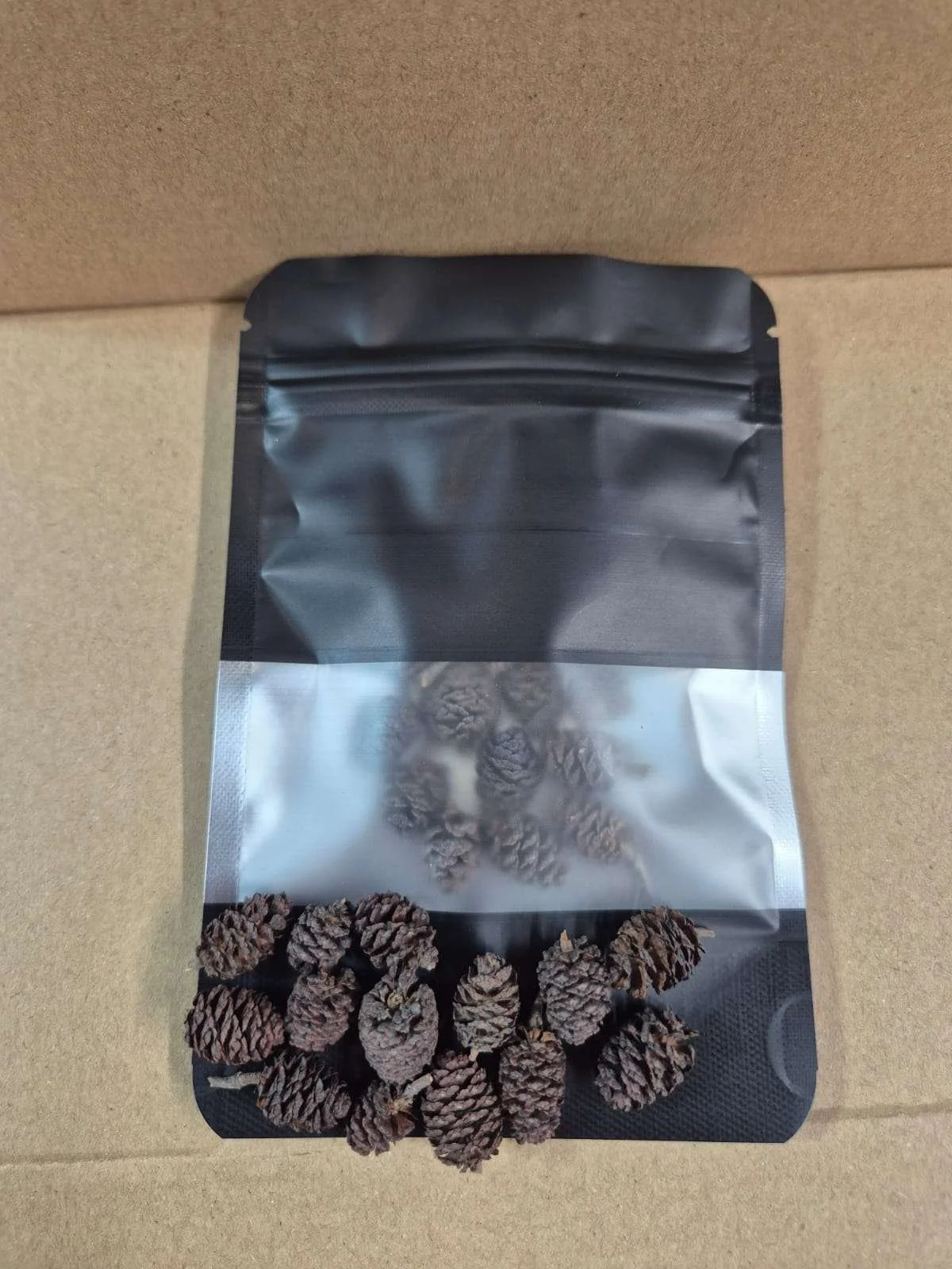 Garage Aquatics - Alder Cones