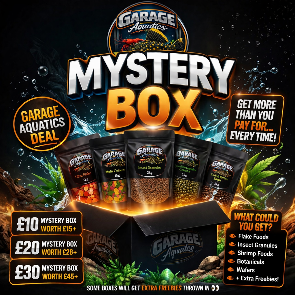 Garage Aquatics-Mystery box