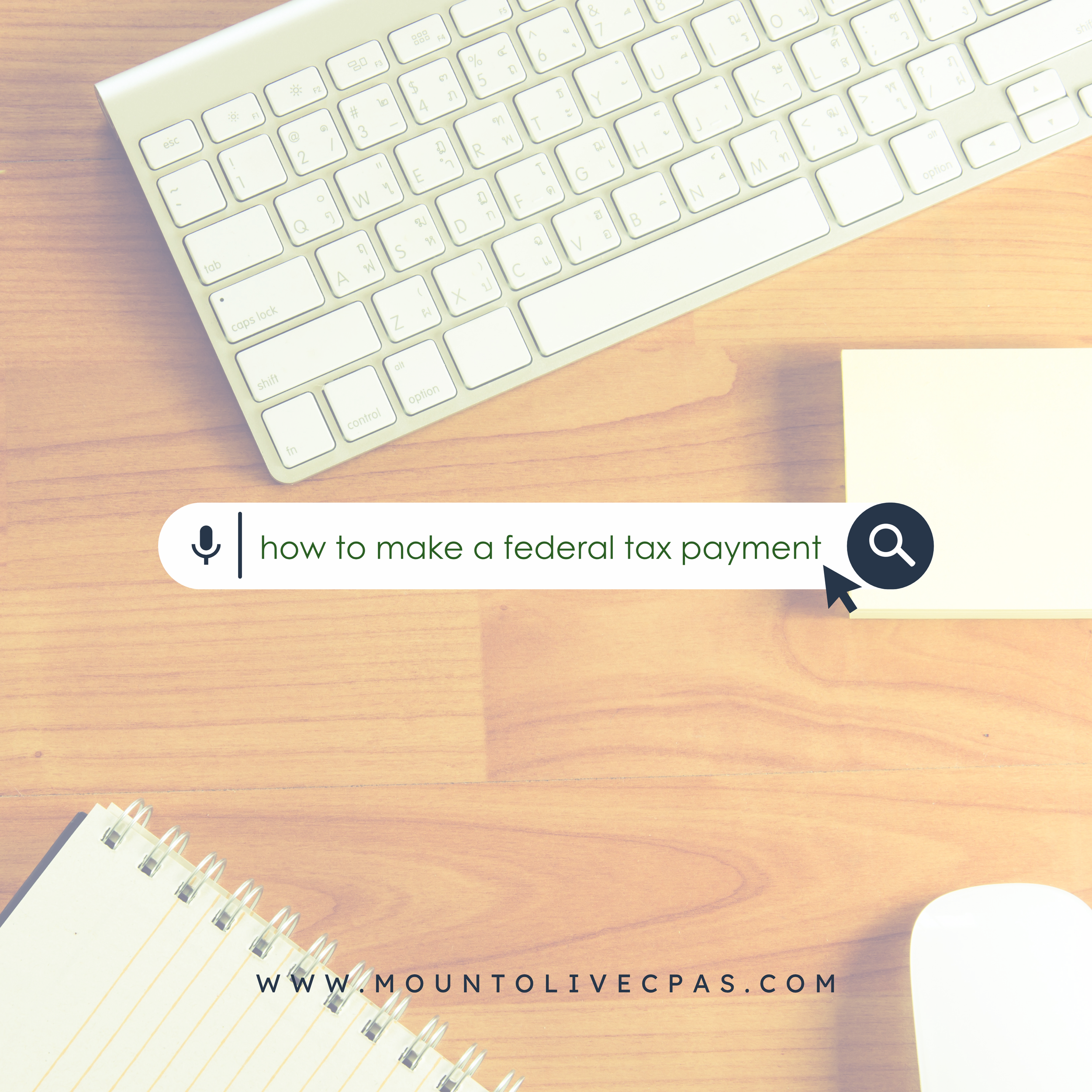 Make a Federal Tax Payment