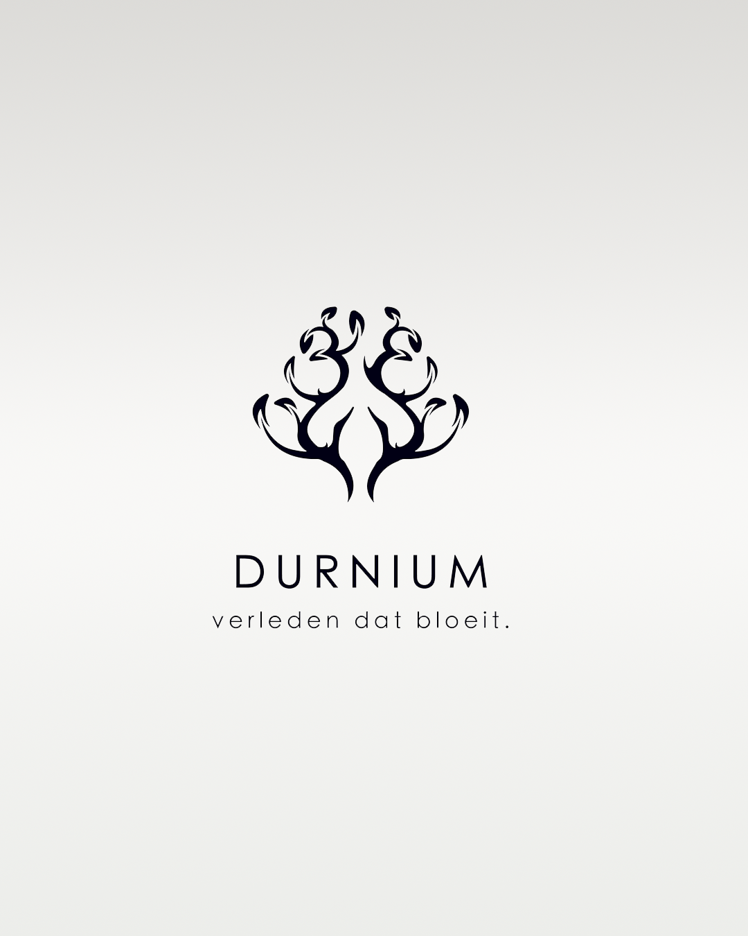 Logo : Durnium.png
