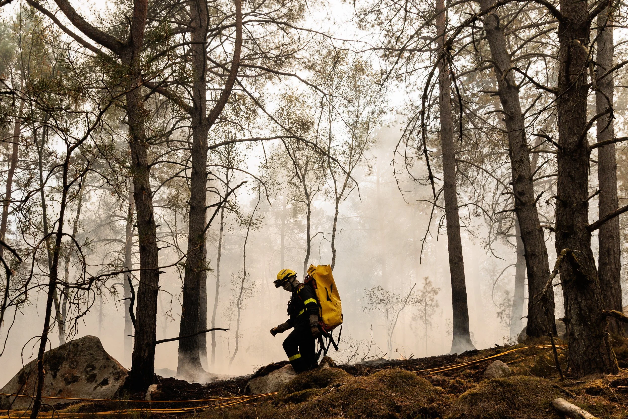 Wildfire Fontainebleau commande EPA