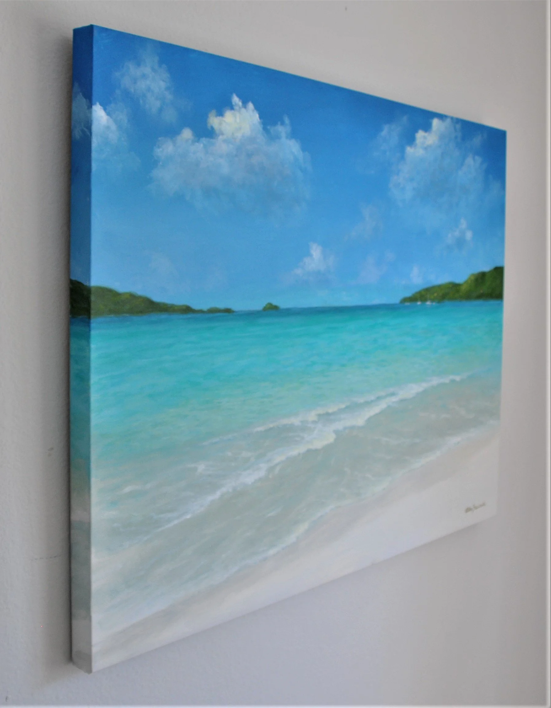 Magens Bay Bliss by Alan Zawacki - left side.JPG