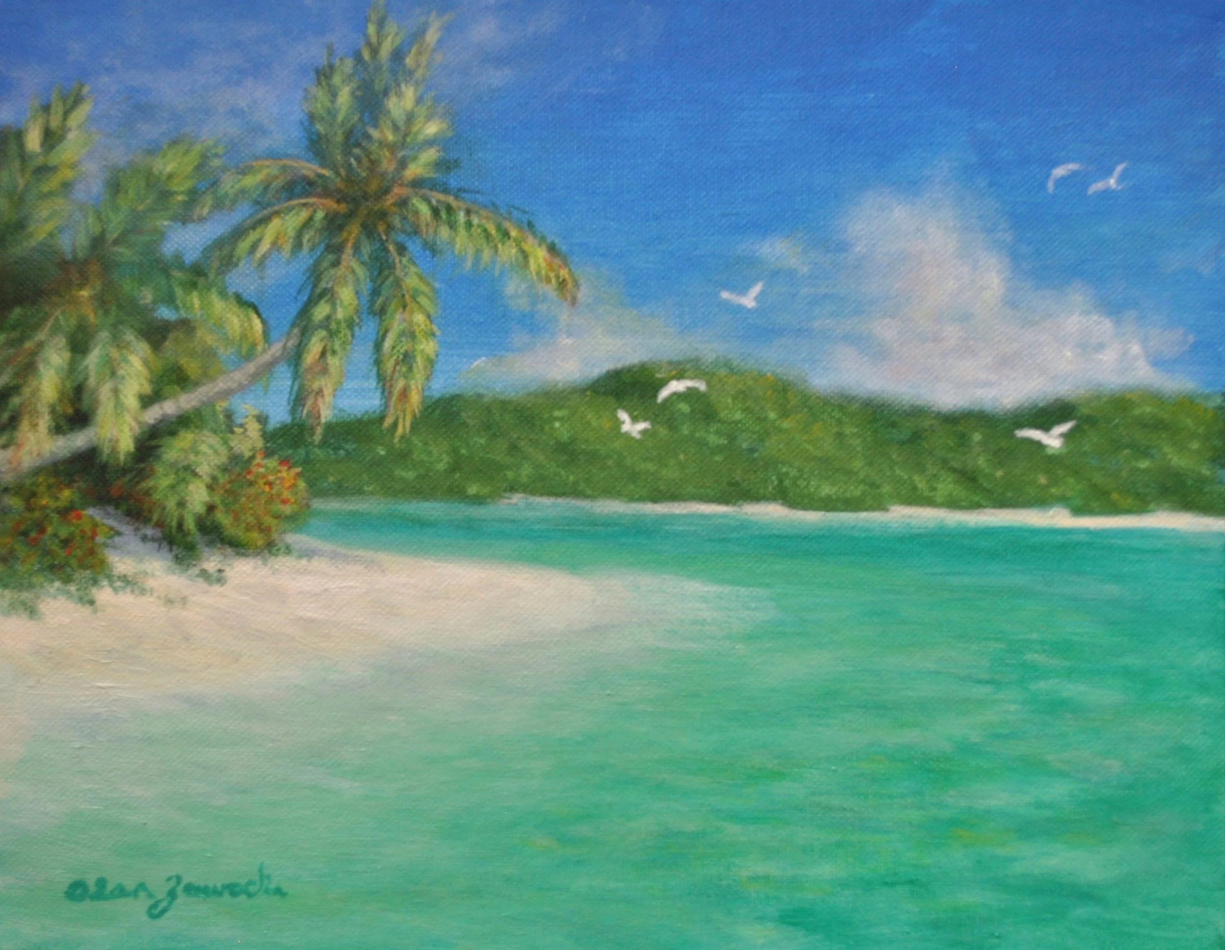 Virgin Islands Heaven