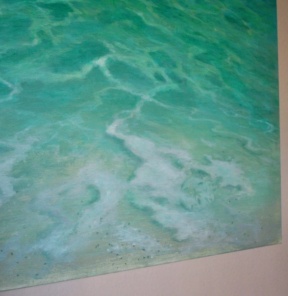 Sand Dollar by Alan Zawacki - close-up detail.jpg