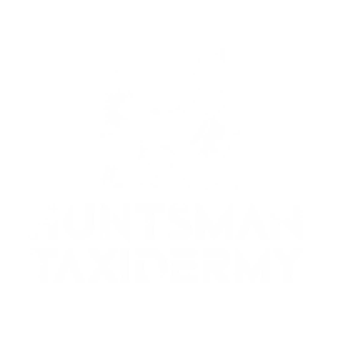 Huntsman Taxidermy
