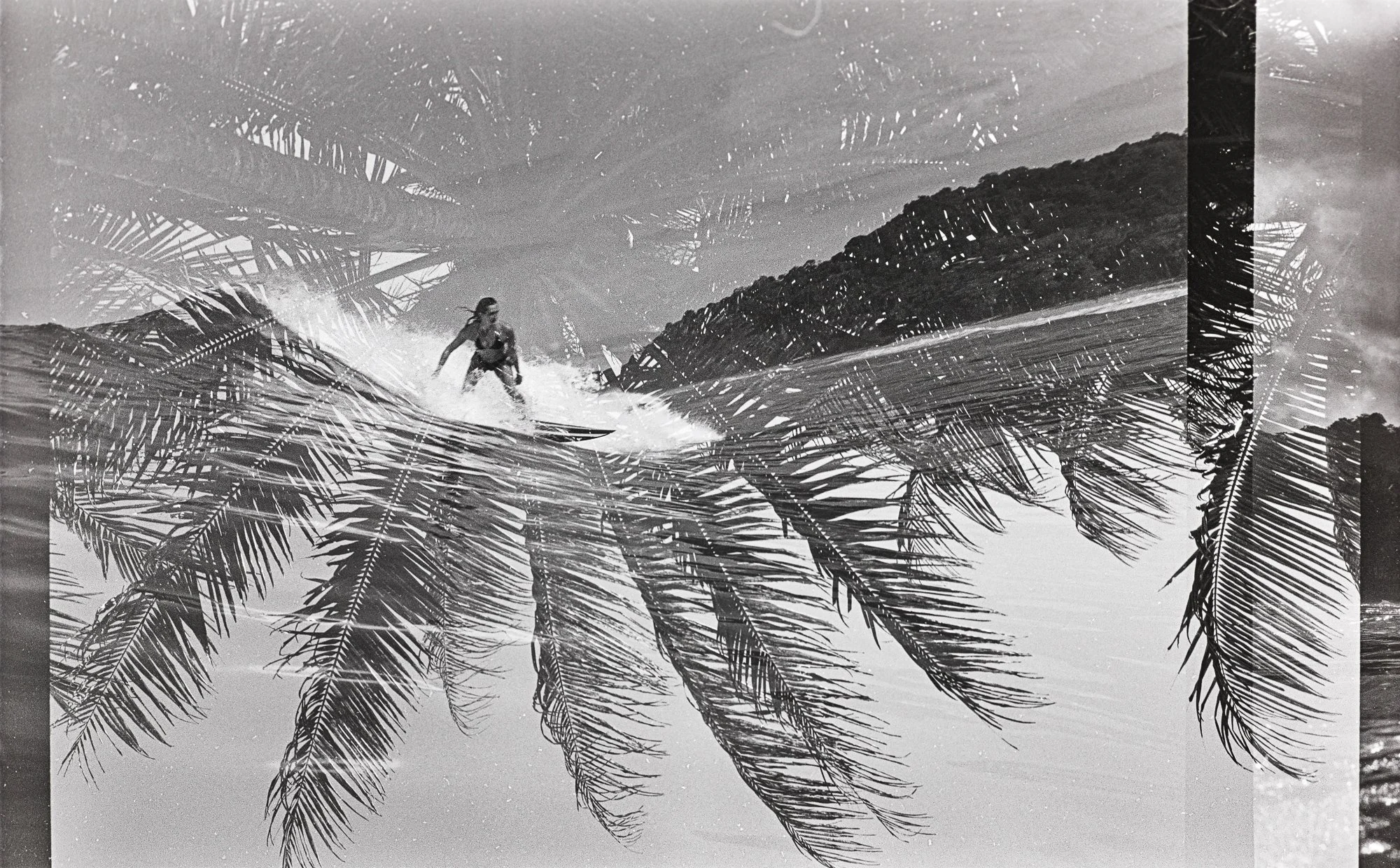 palmy waves.jpg