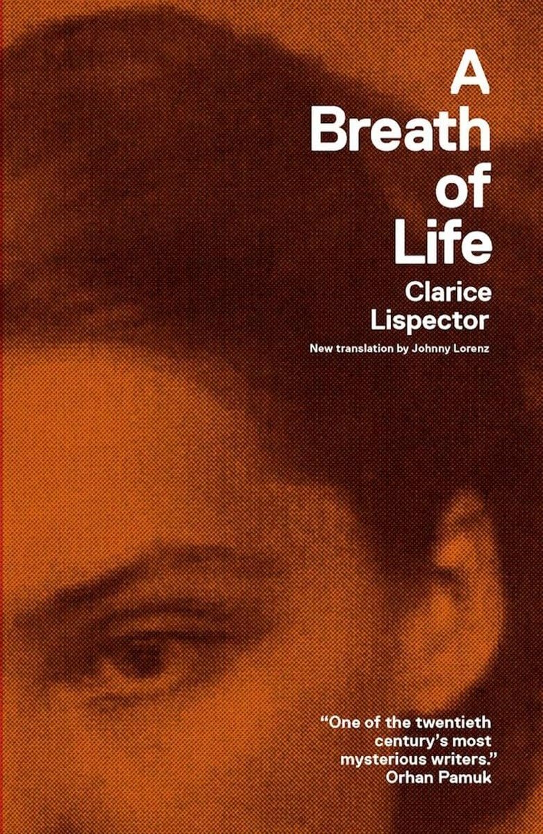 71E+bXQVqBL._SL1200_.jpg