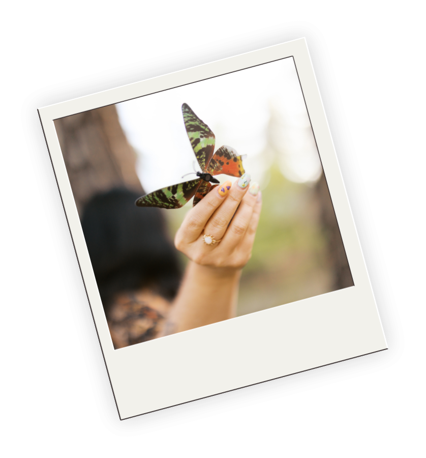 Close-up of a person's hand holding a colorful butterfly outdoors.